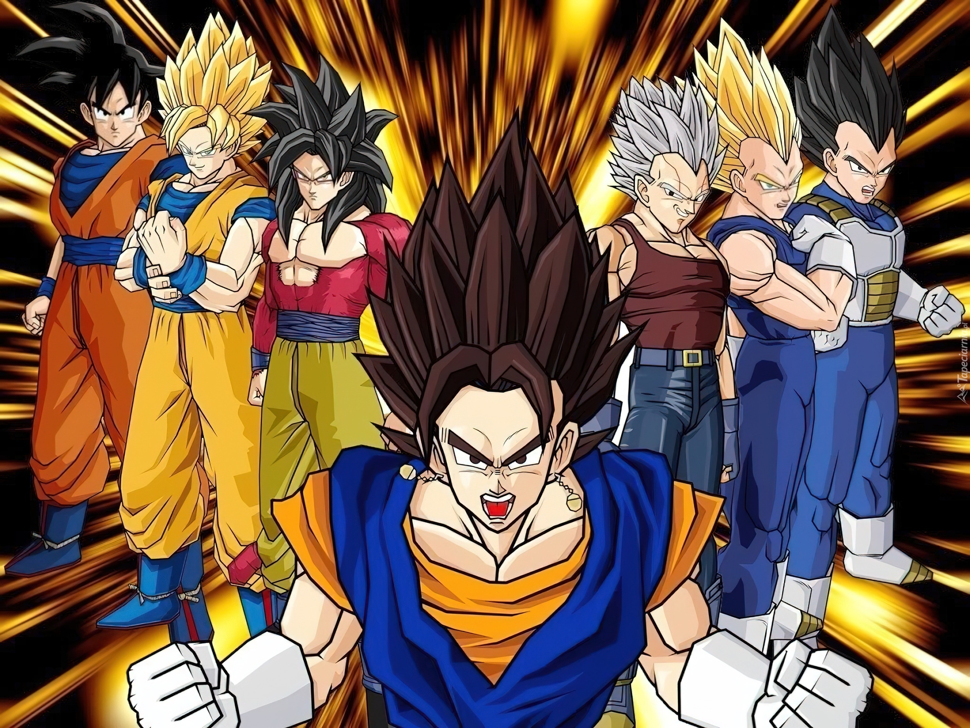 Vegetto, Goku, Vegeta, postacie