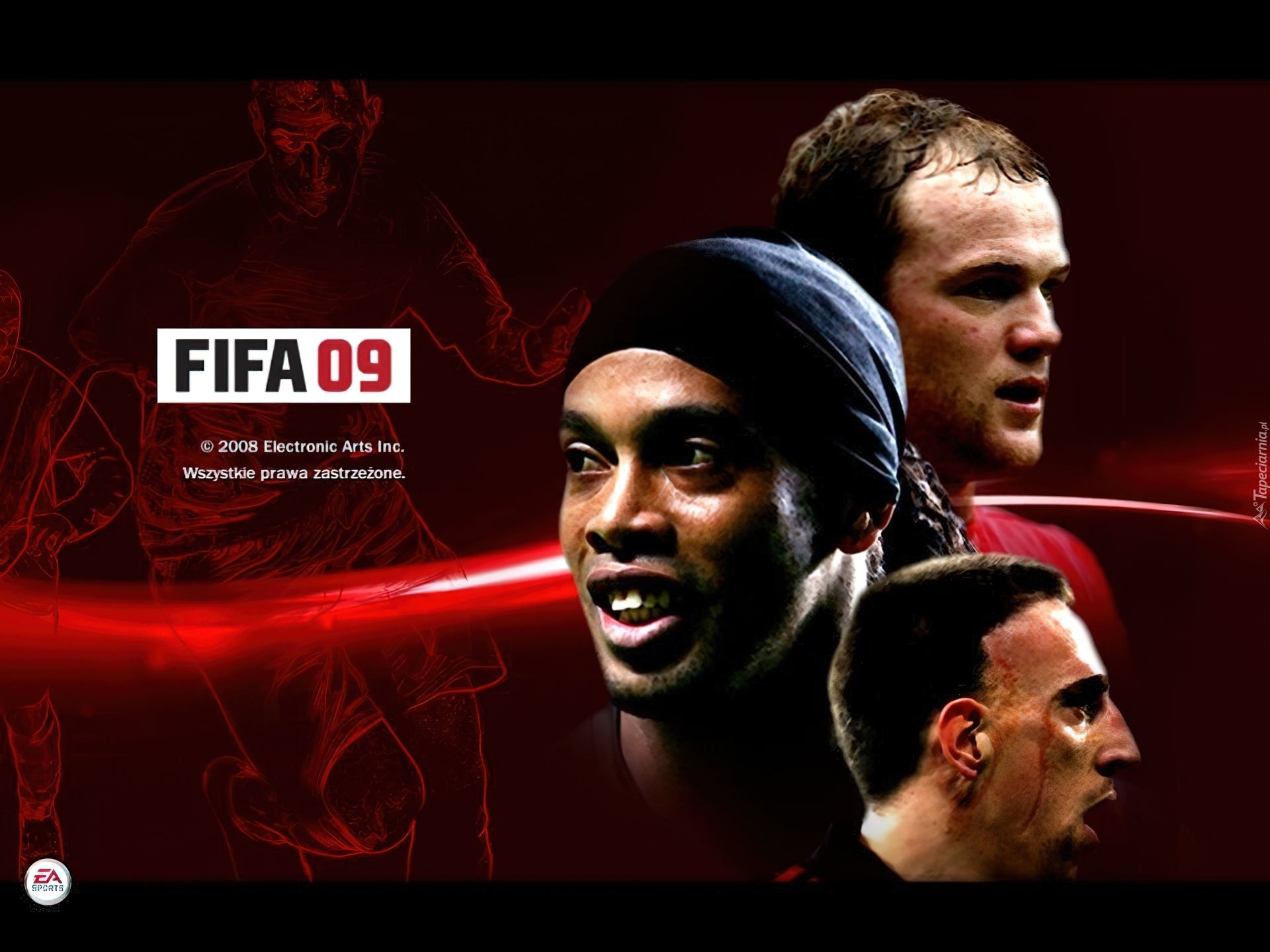 Fifa 2009, Ribery, Ronaldinho