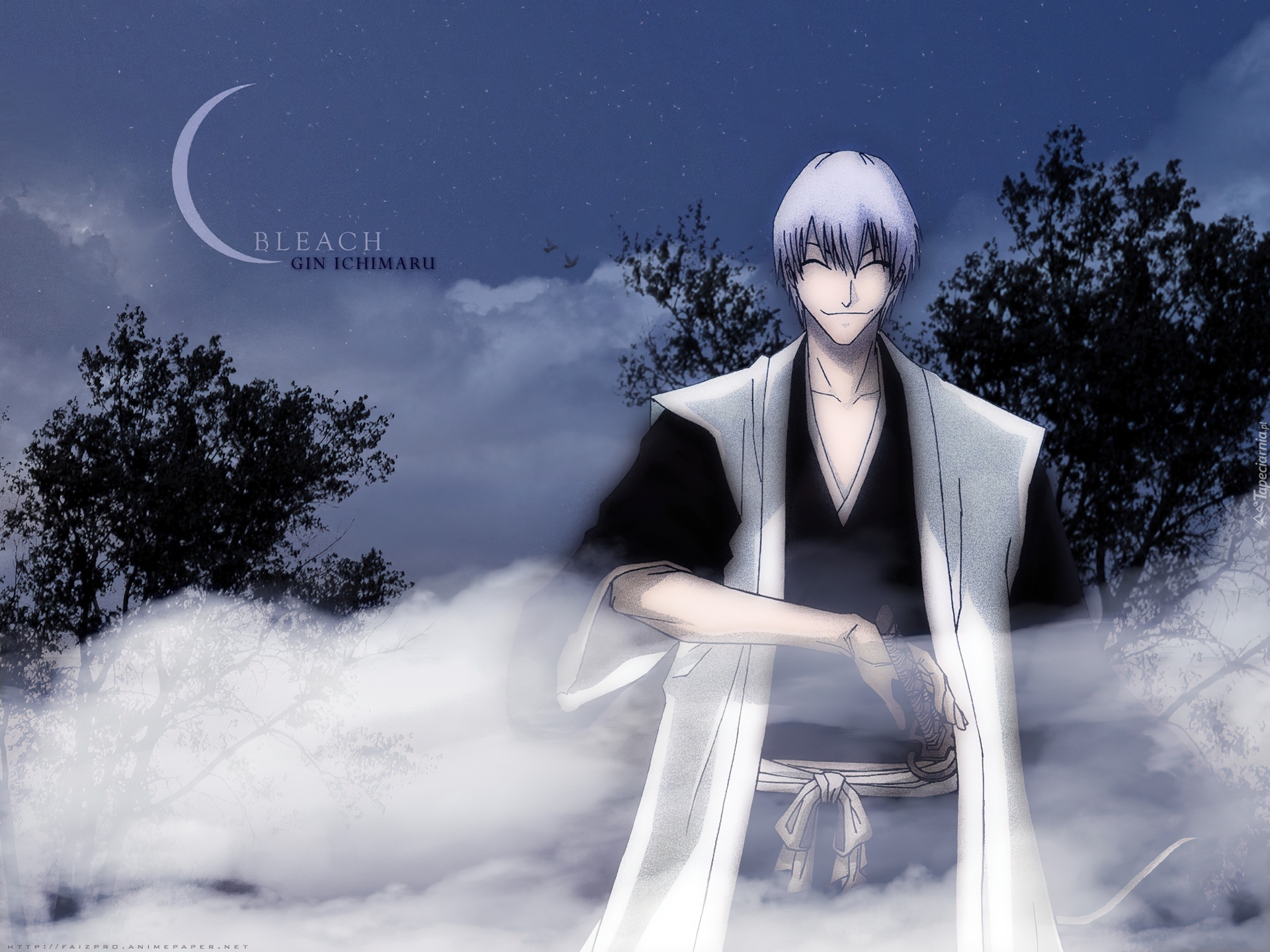 Bleach, Gin Ichimaru, Noc