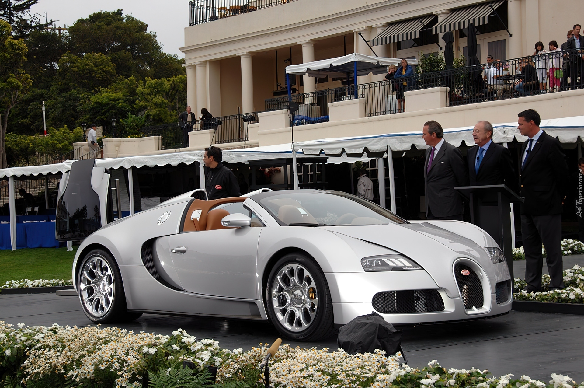 Srebrny, Veyron, Cabriolet, Wystawa