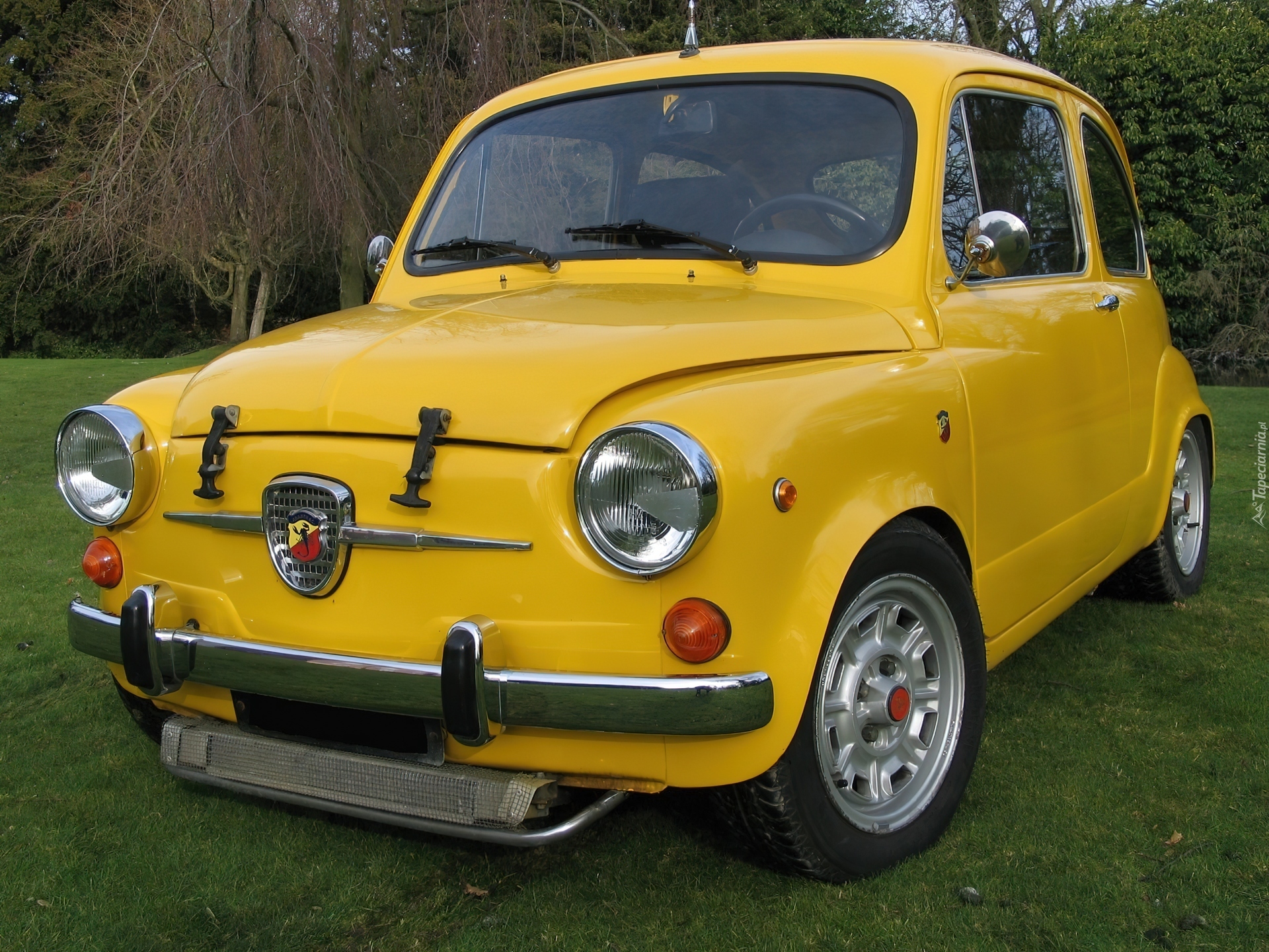 Żółty, Abarth 600, Park