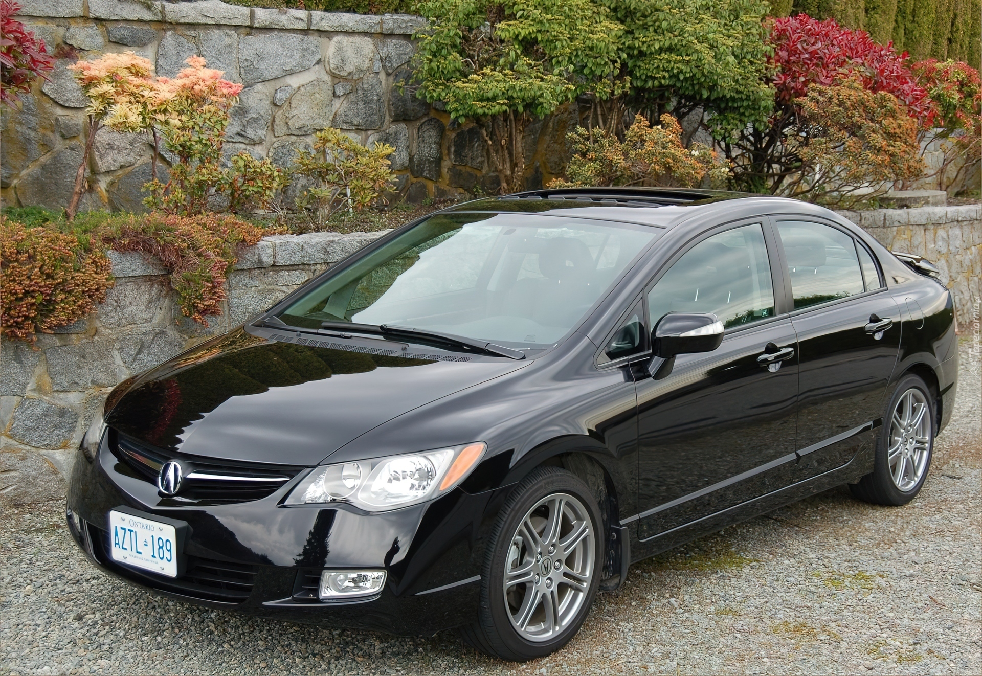 Czarna, Acura CSX, Rejestracja, Ontario