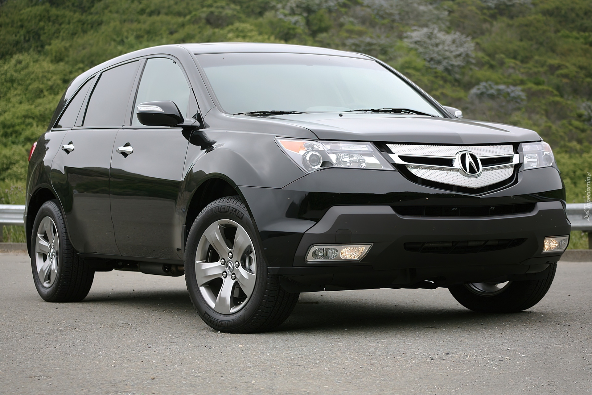 Acura MDX, Drzwi, Metalik