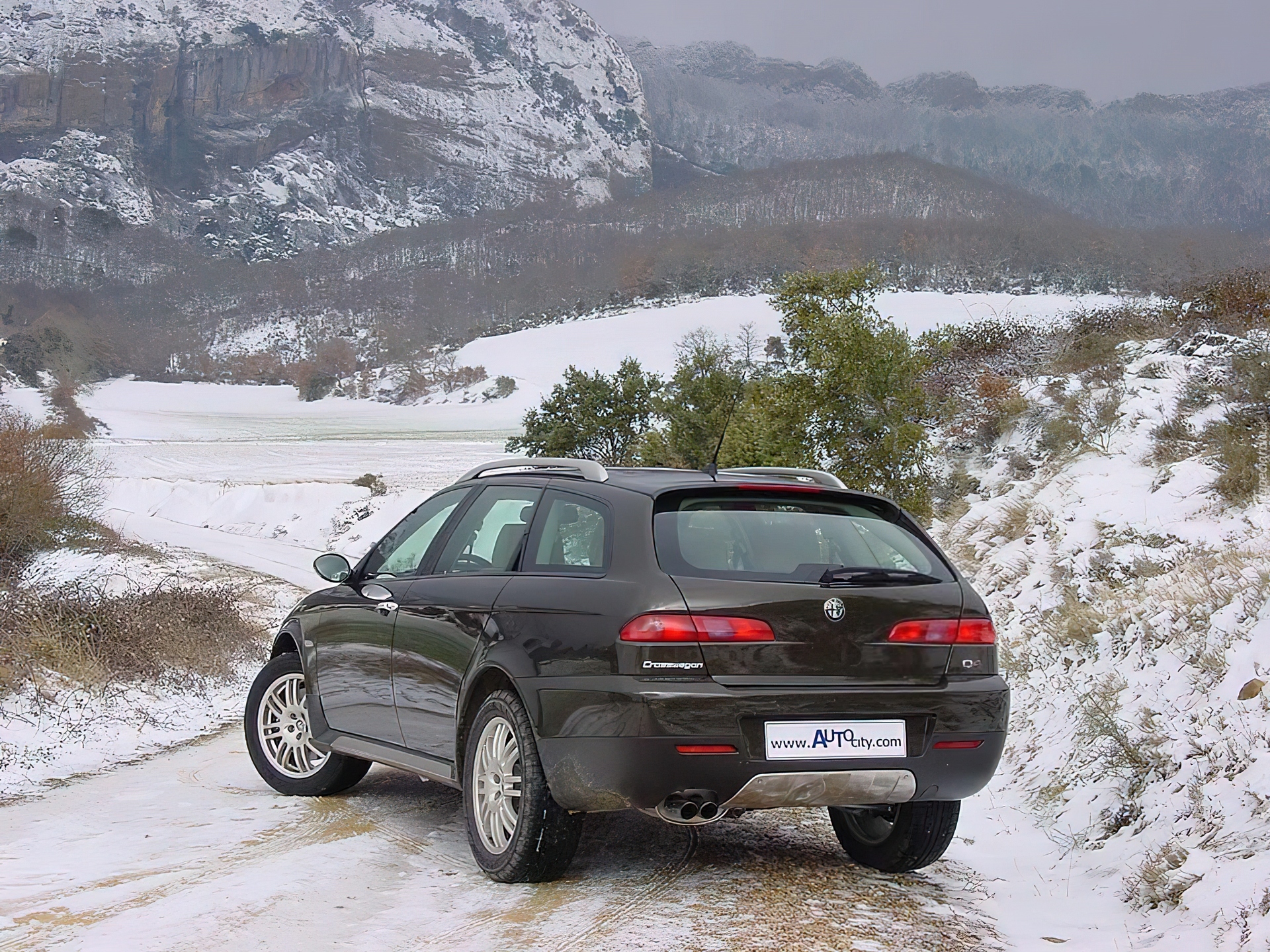 Tył, Alfa Romeo Crosswagon