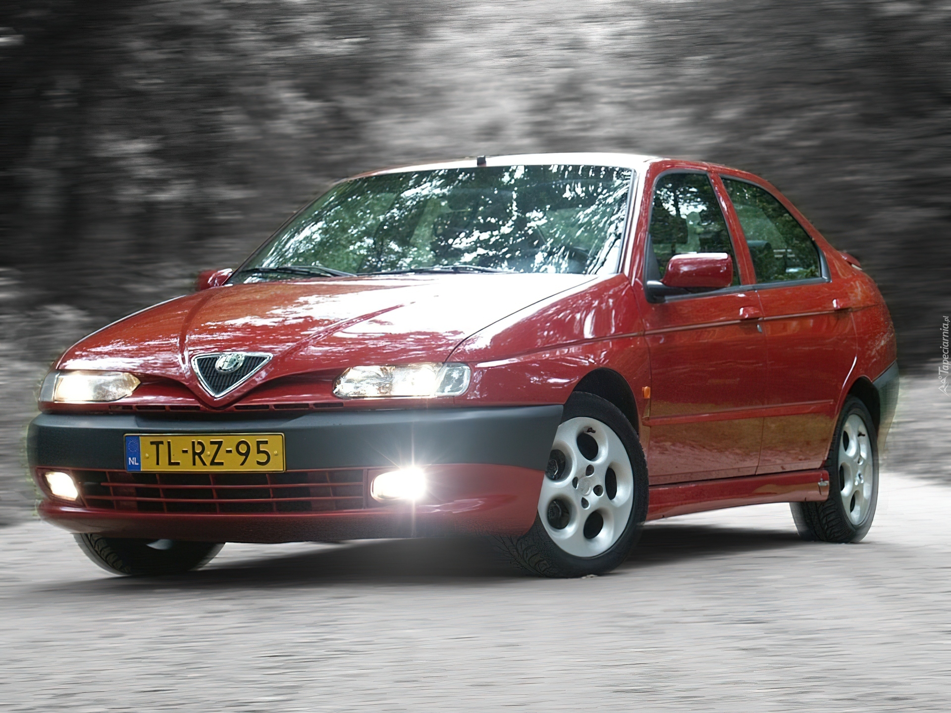 Alfa Romeo 146, Halogeny