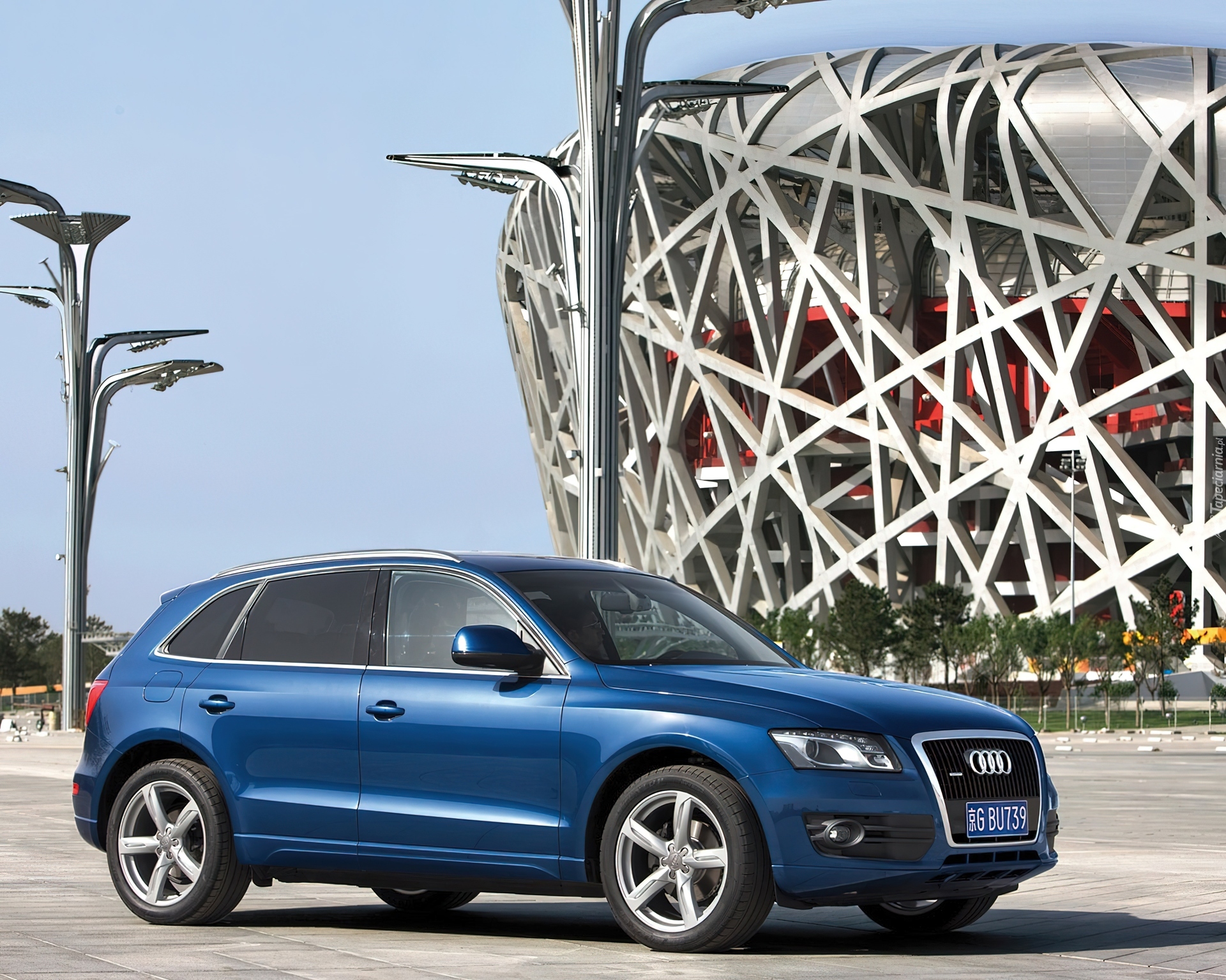 Niebieskie, Audi Q5, SUV