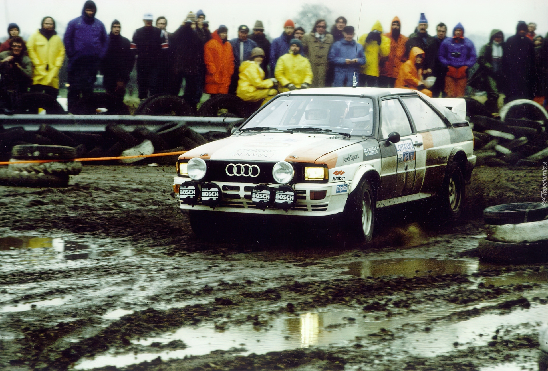 Audi Quattro, Błotny, Rajd