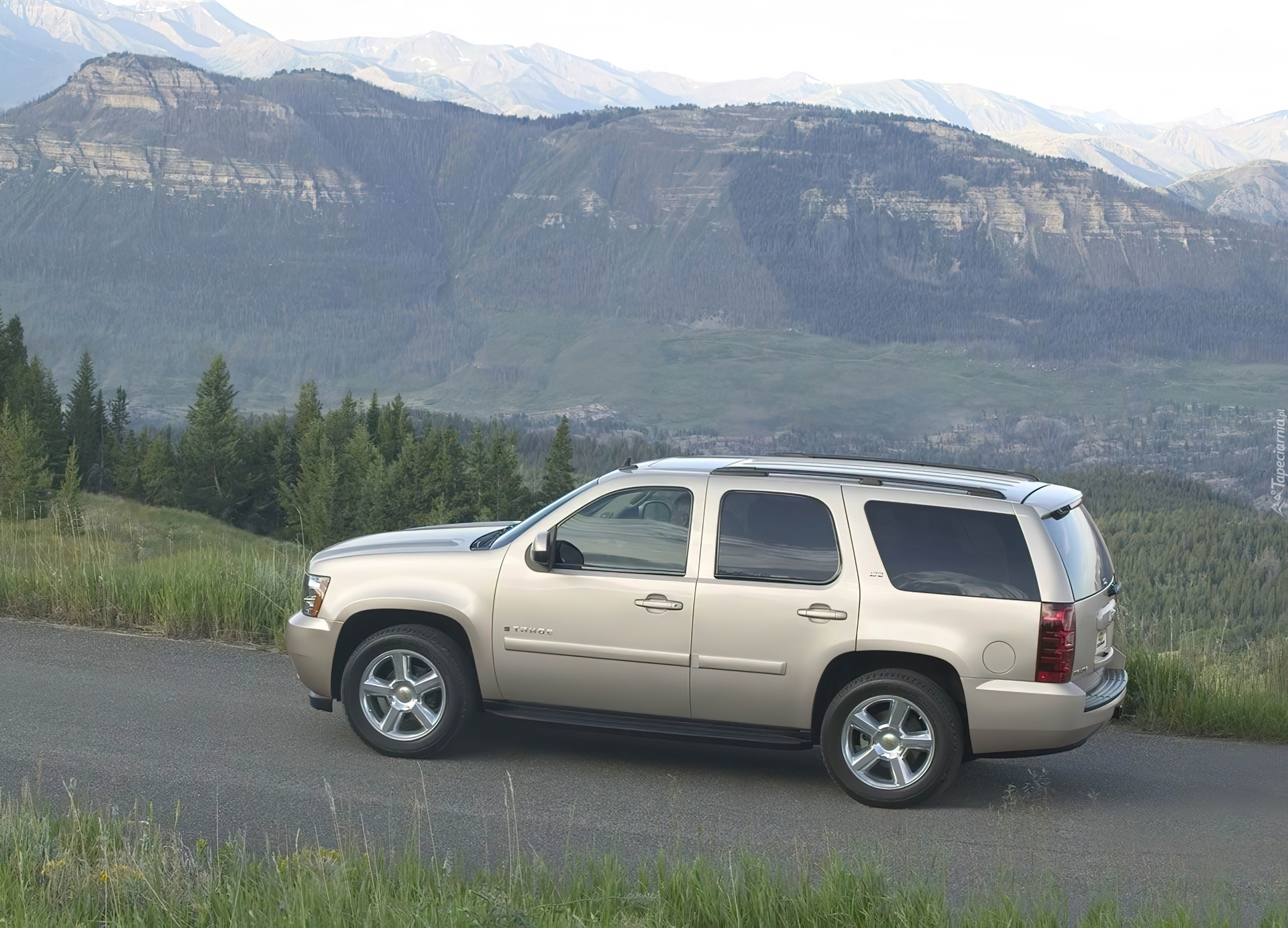 Chevrolet Tahoe, Widok