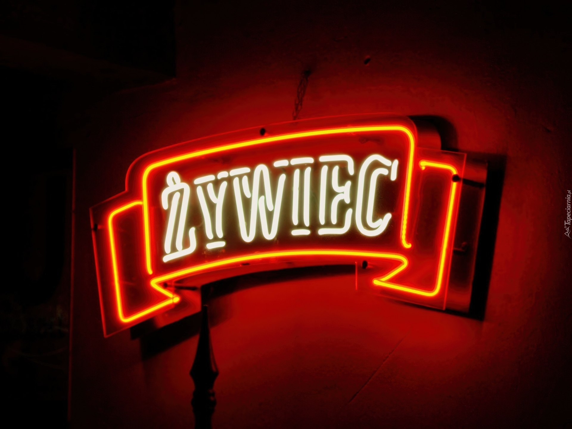 Neon, Żywiec