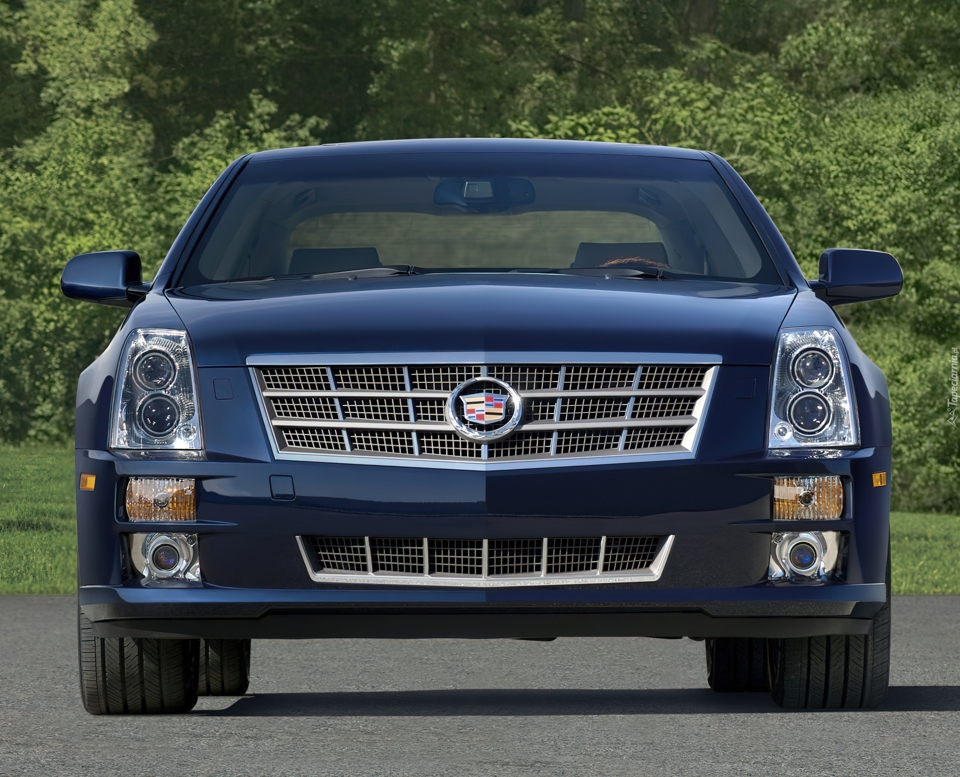 Przód, Cadillac STS, Grill