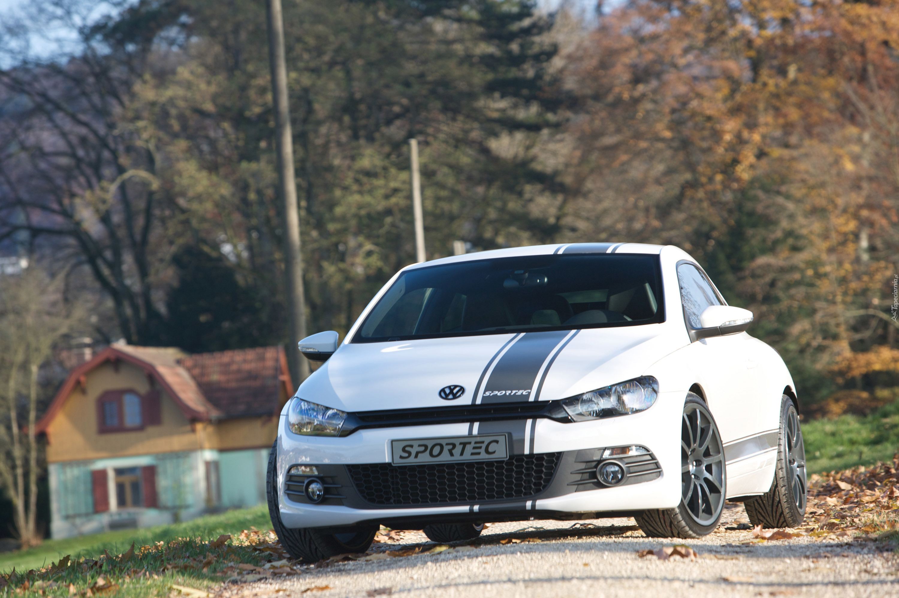 VW  Scirocco, Sportec