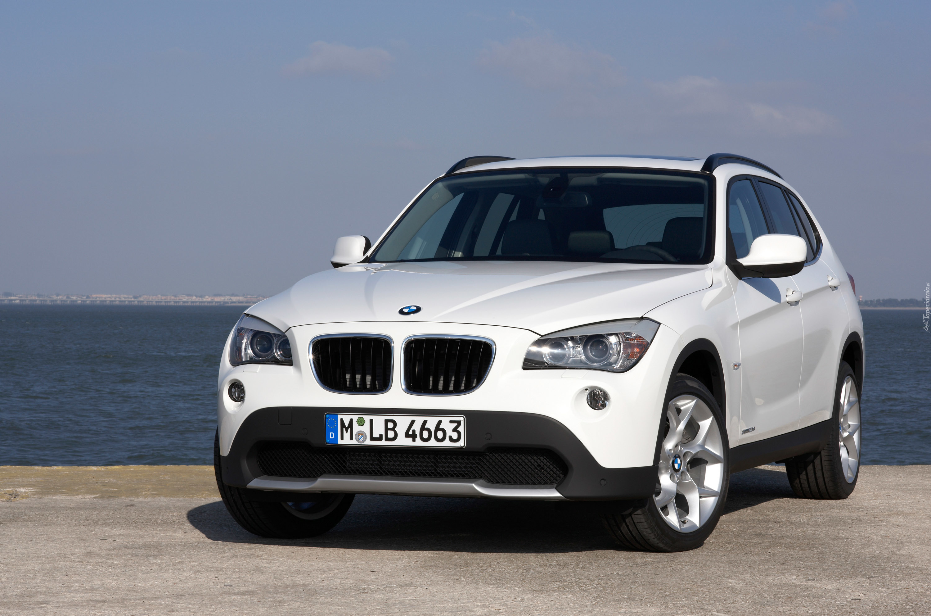 Białe, BMW X1, Diesel