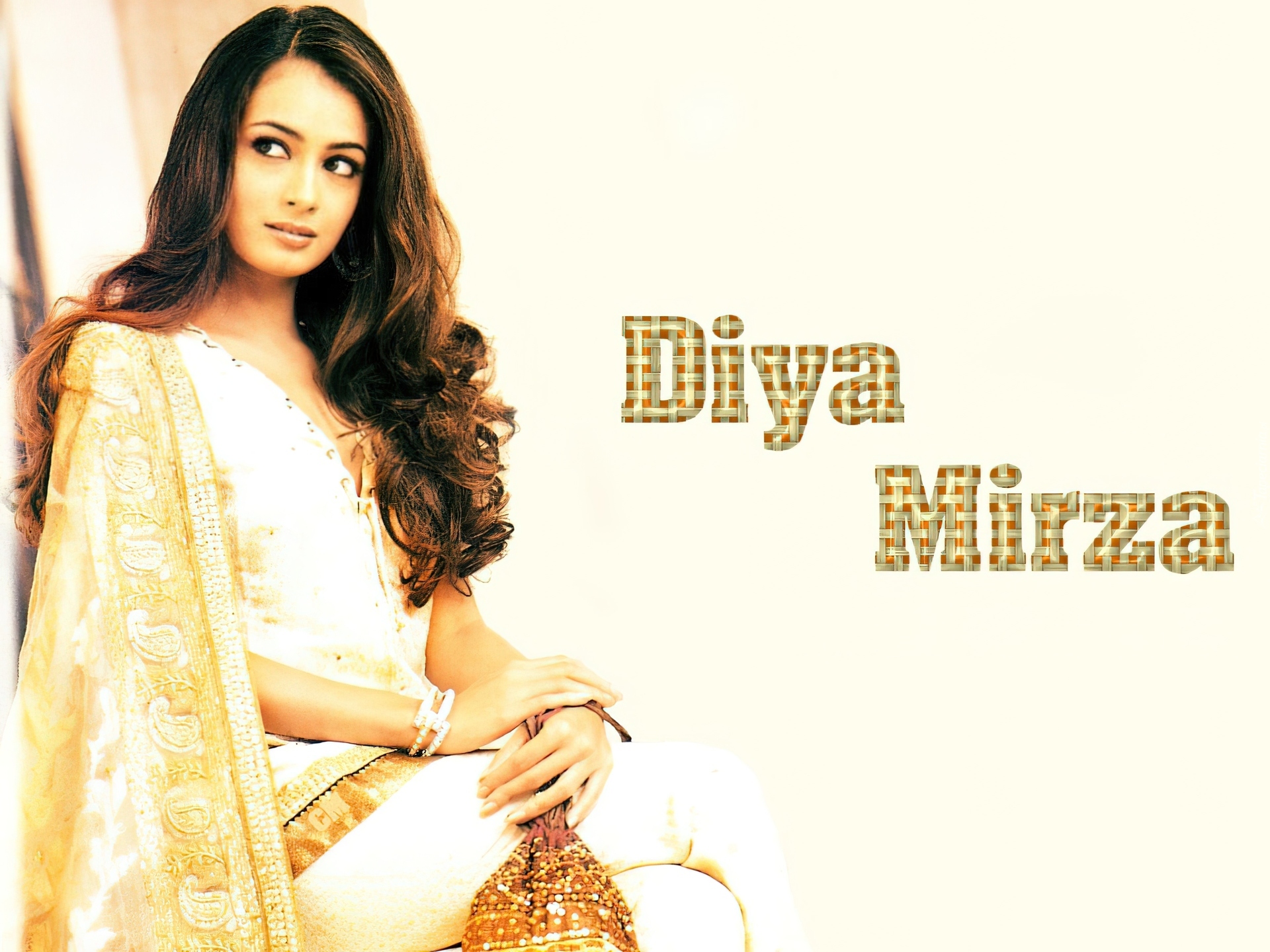 Diya Mirza, Bollywood