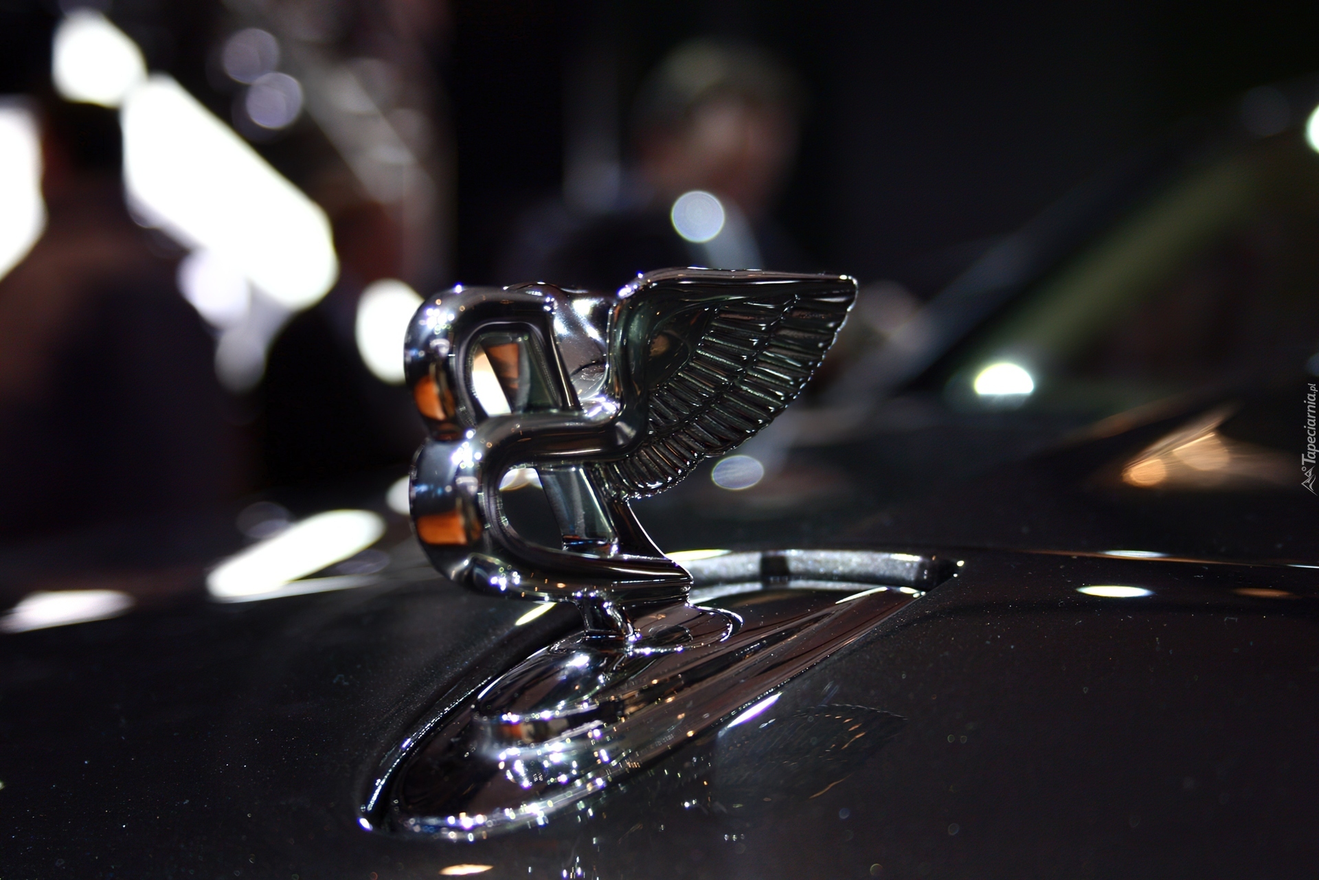 Emblemat, Bentley Mulsanne