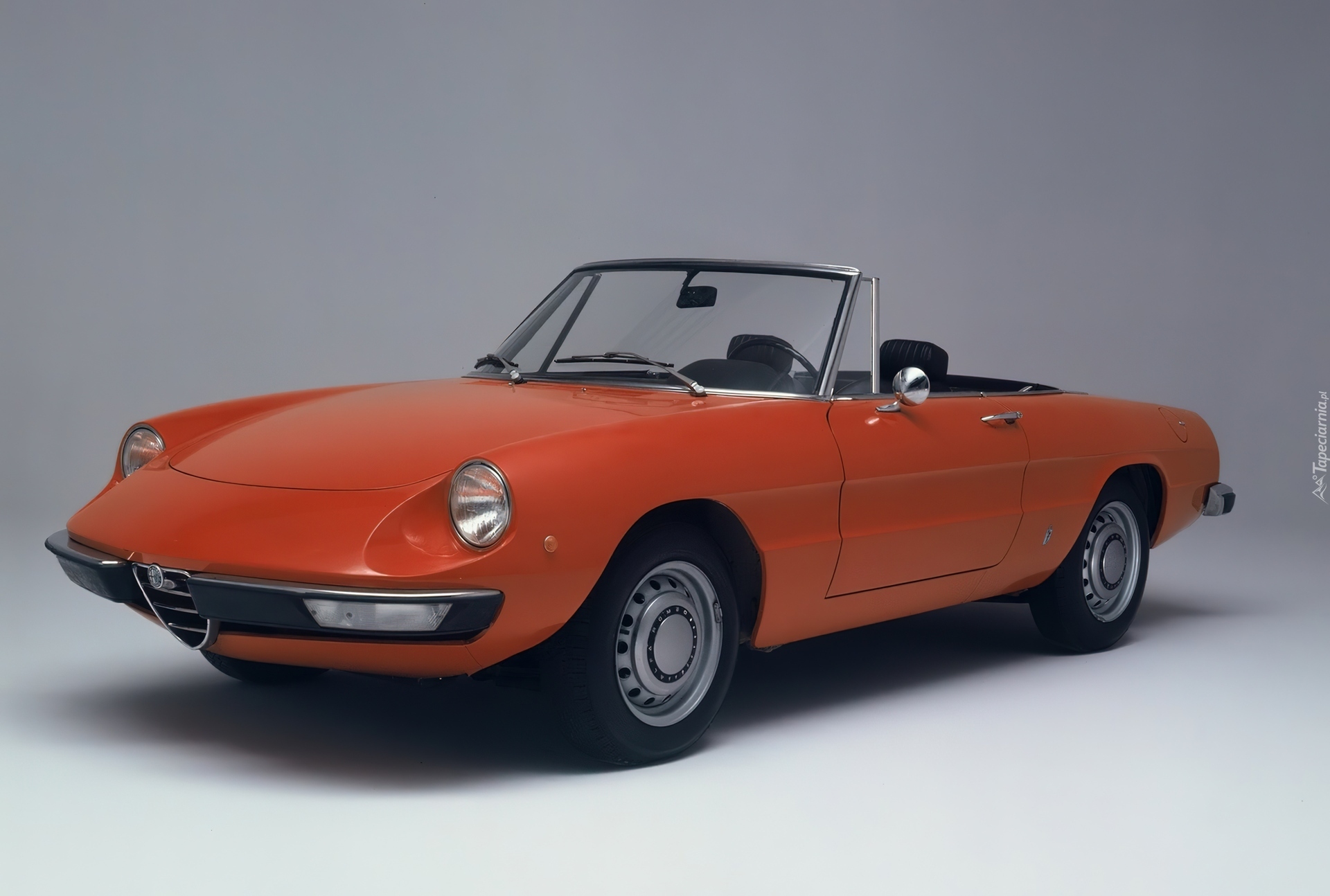 Czerwona, Alfa Romeo Spider