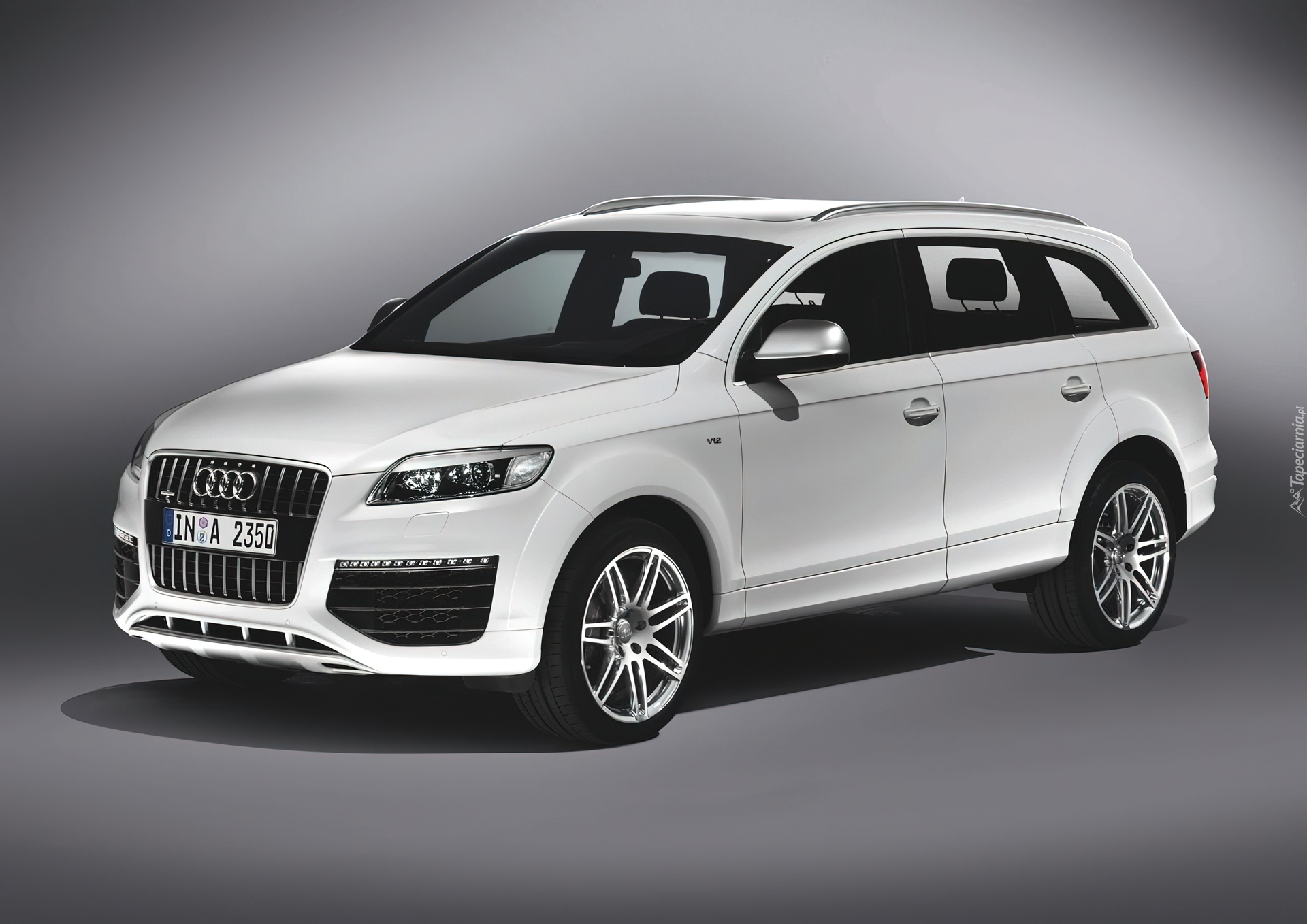 Audi Q7, Relingi, Dachowe