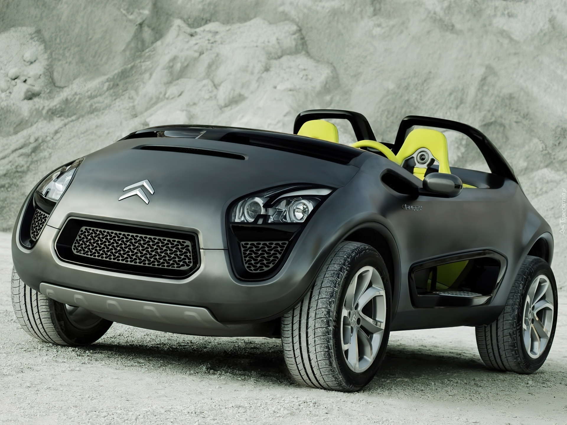 Citroen C-Buggy, Emblemat, Firmowy