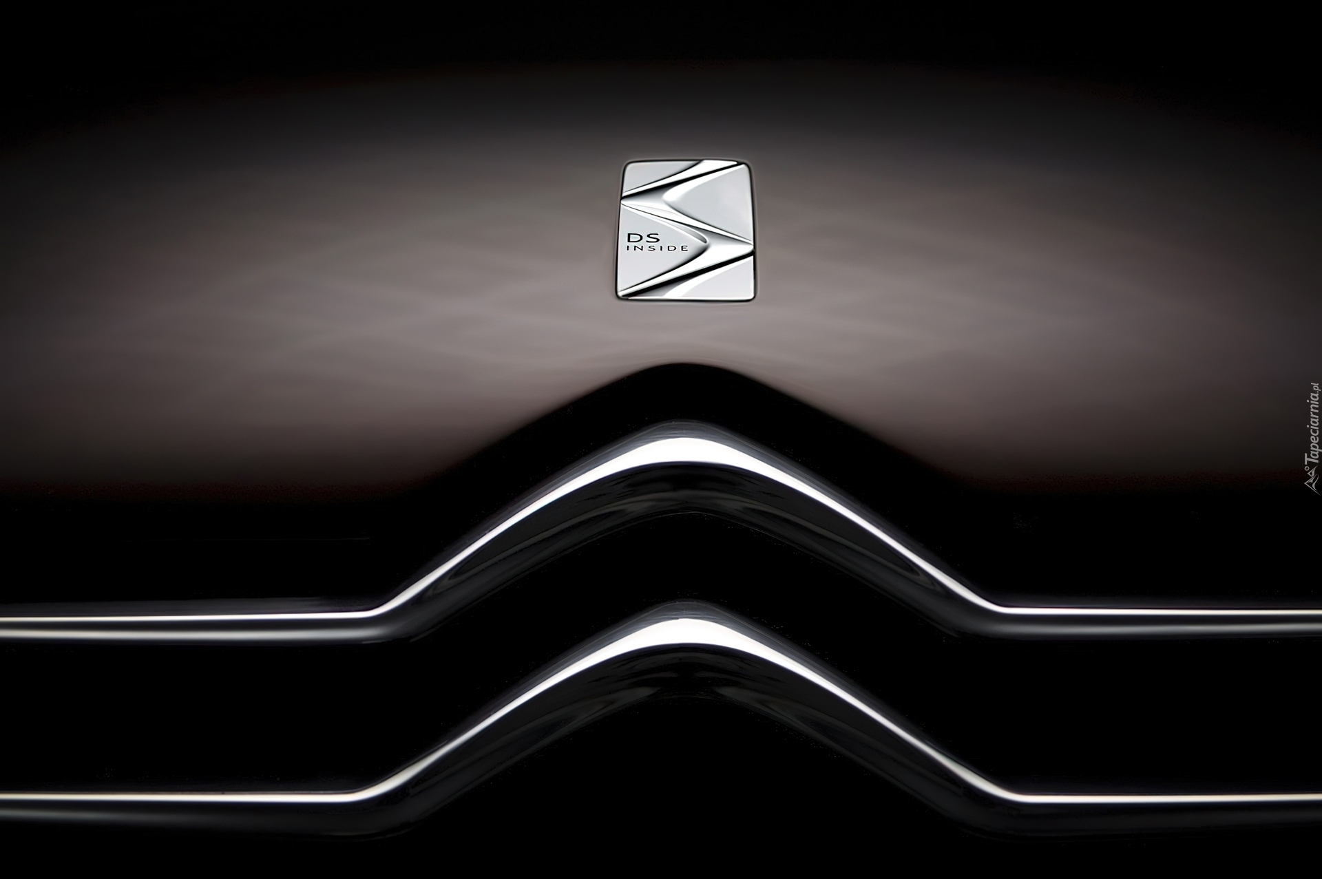 Emblemat, Citroen DS3