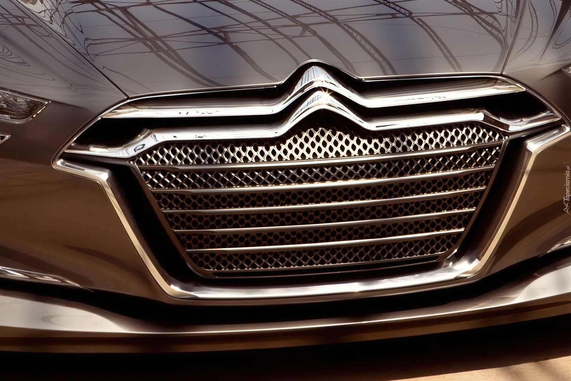 Citroen Metropolis, Grill