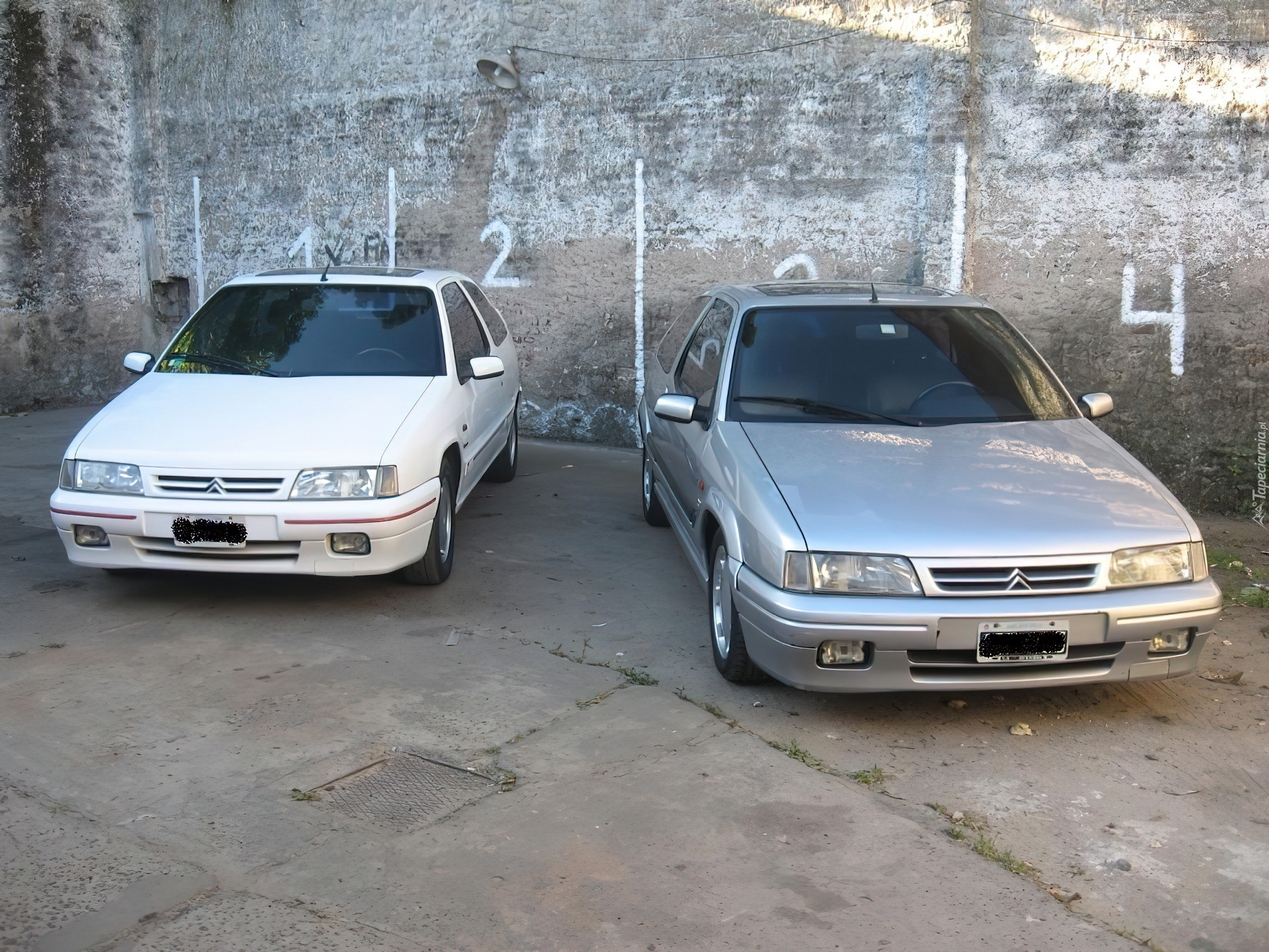 Citroen ZX, Hatchback, Kombi