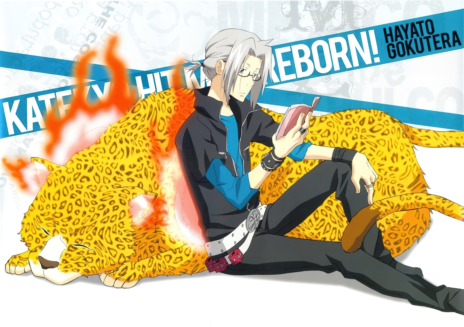 Katekyo Hitman Reborn, Gokudera