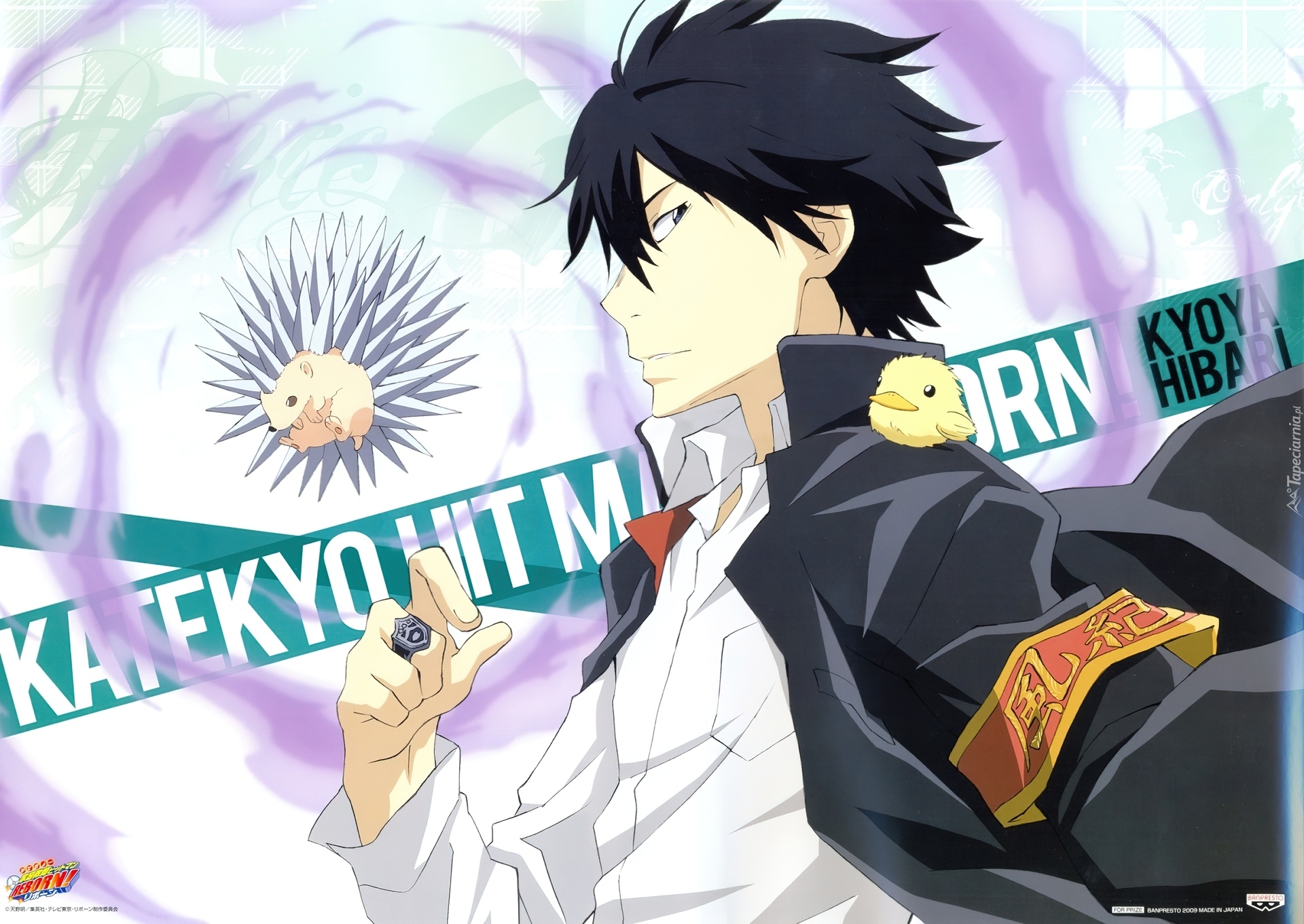 Katekyo Hitman Reborn, Hibari