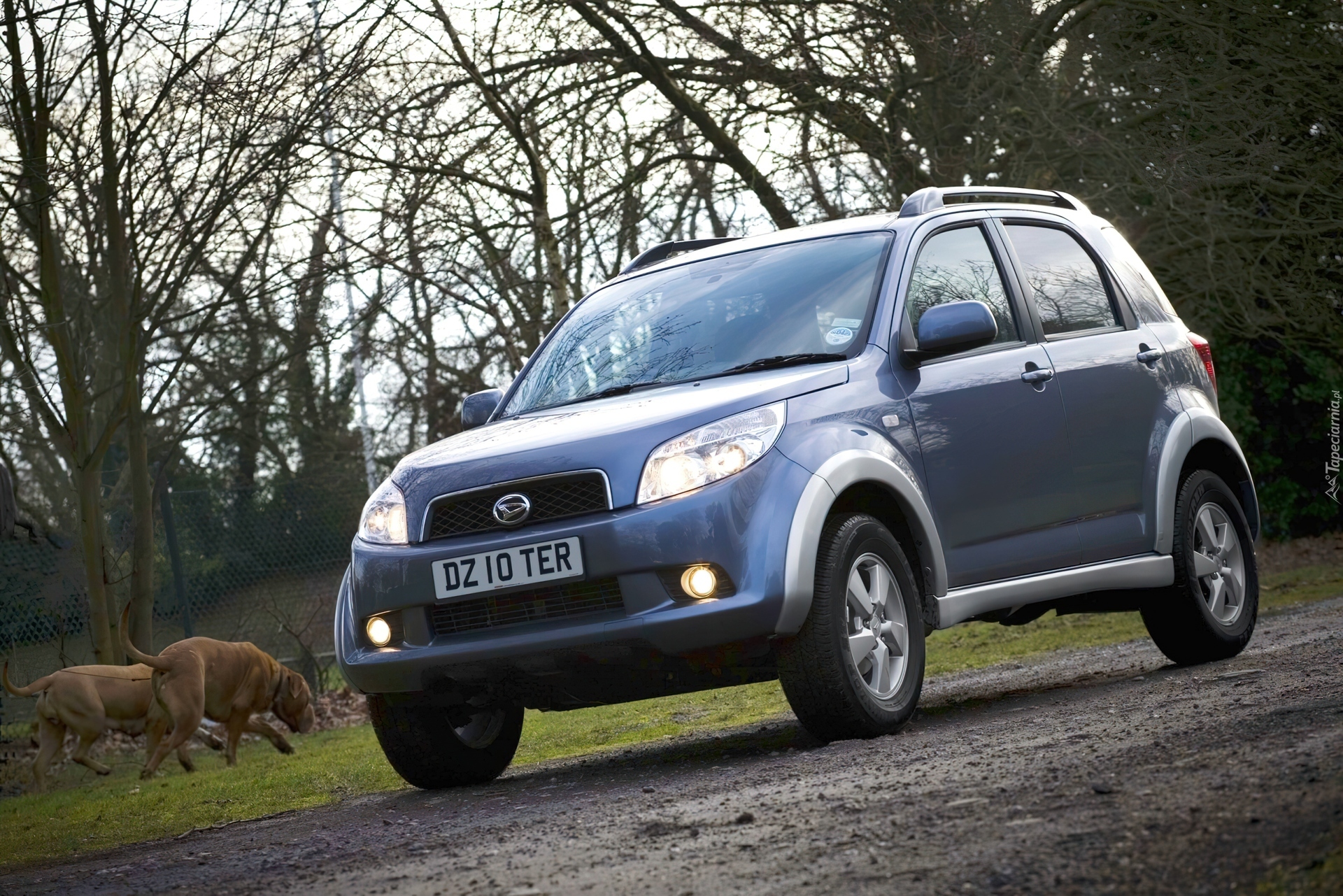 Daihatsu Terios, Polna, Droga