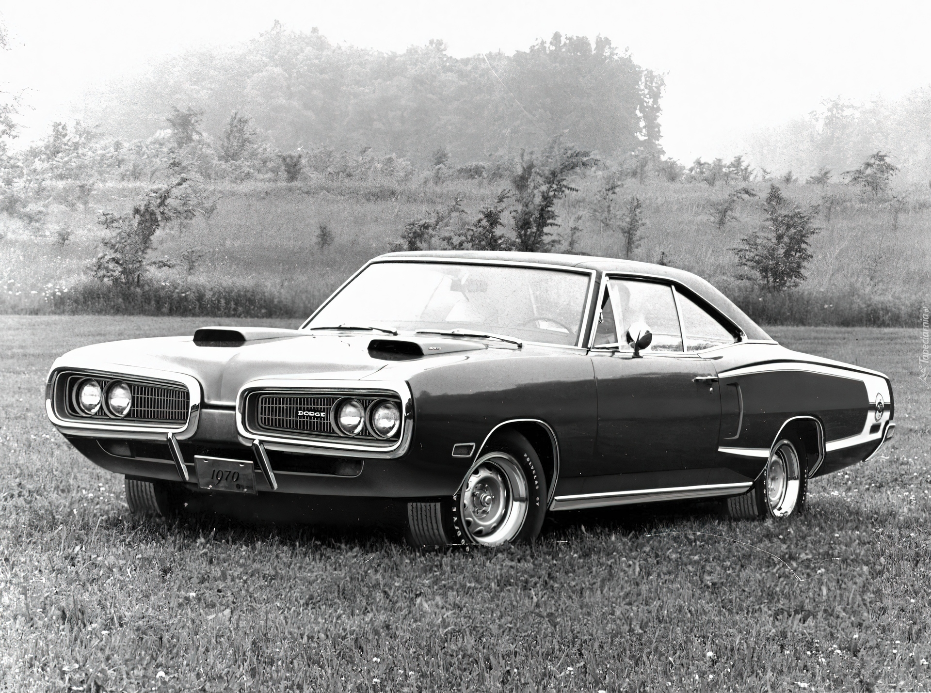 Dodge Coronet, Muscle, Car