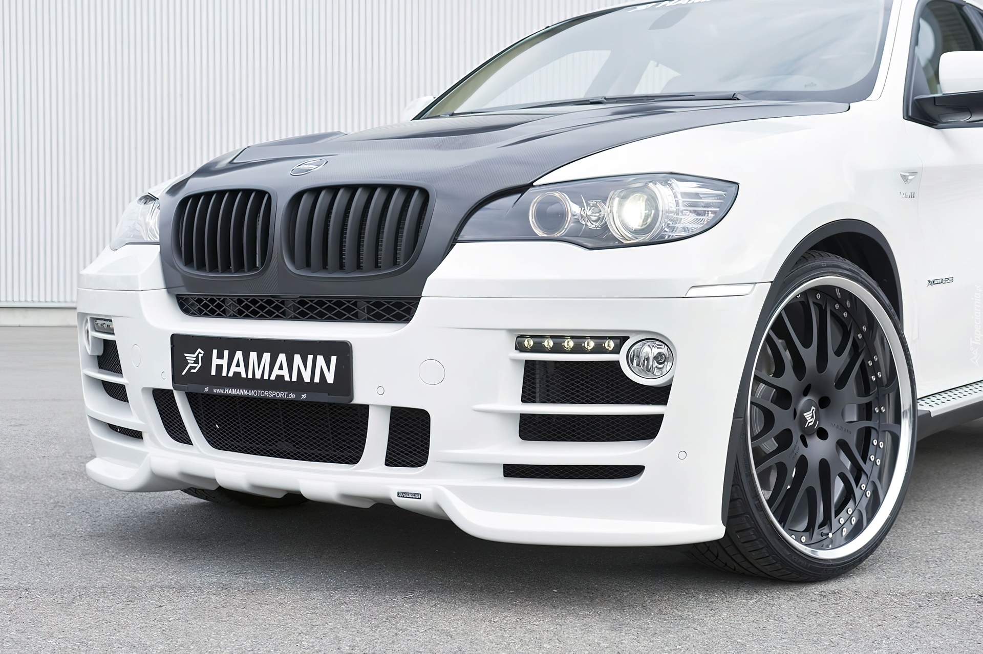 X6, Hamann