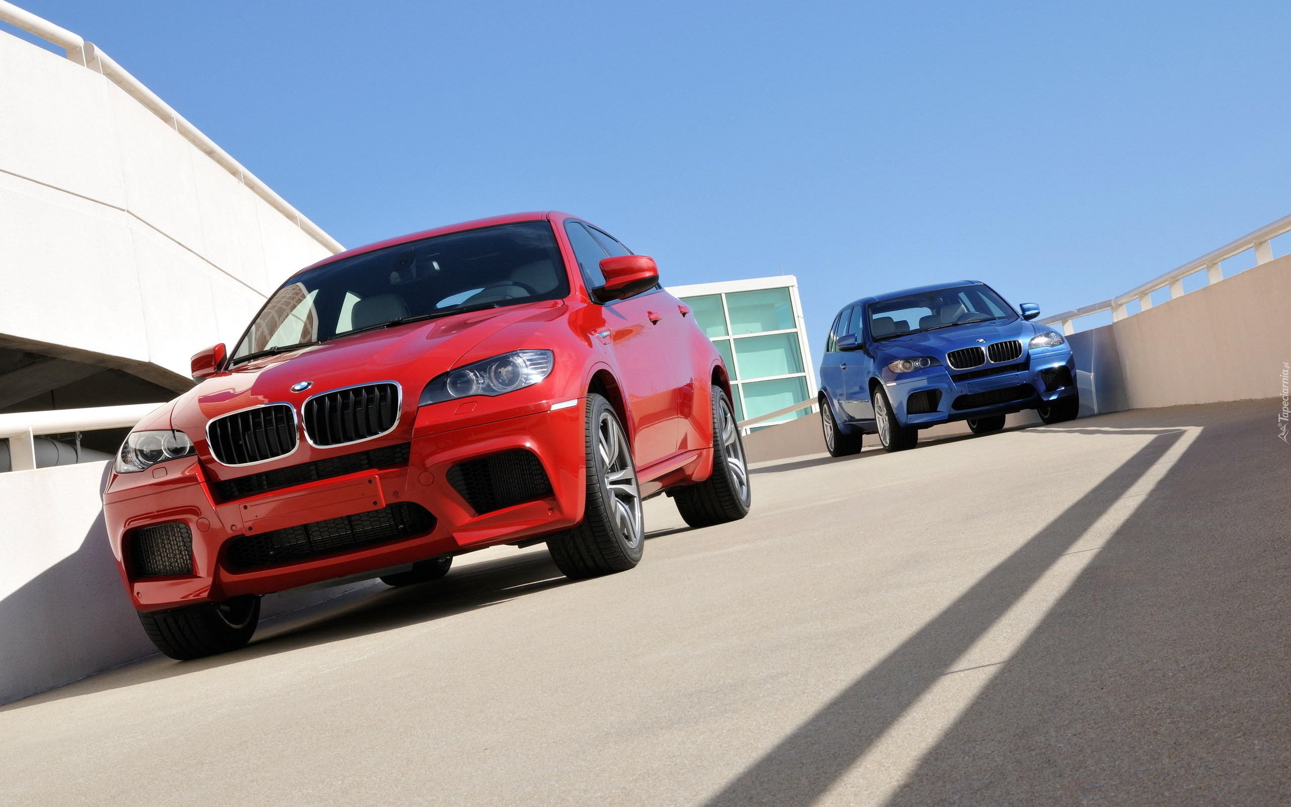 BMW X6, X5