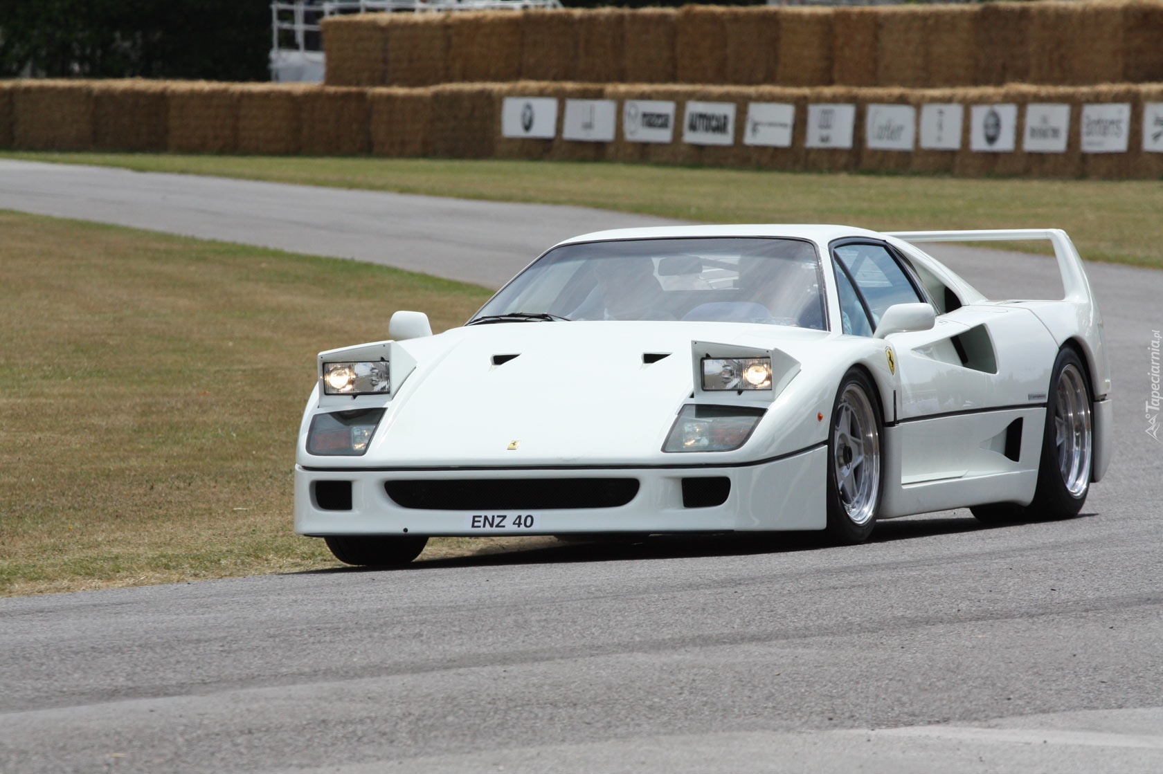 Białe, Ferrari F 40