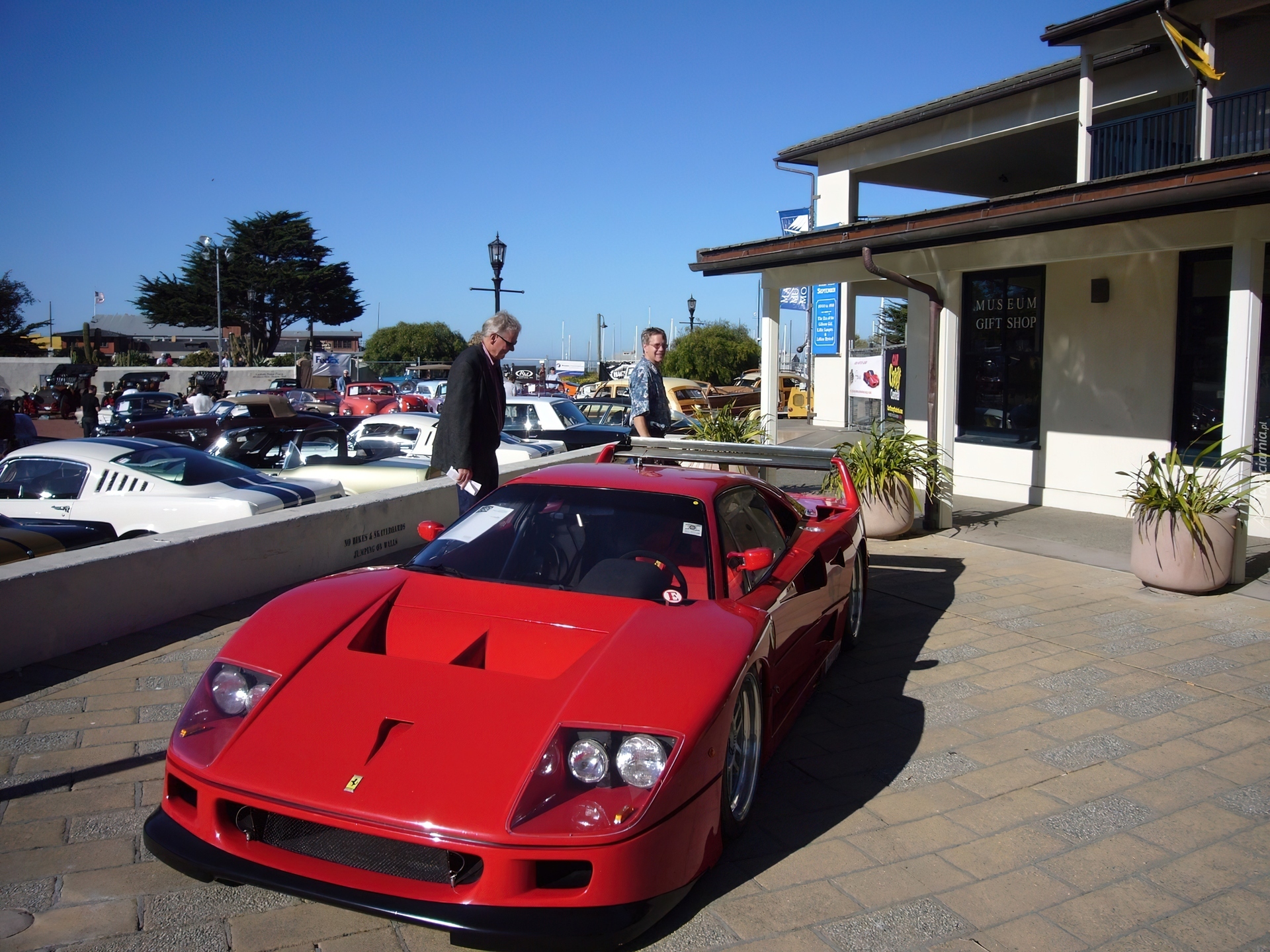 Ferrari F 40, Luksusowe, Samochody