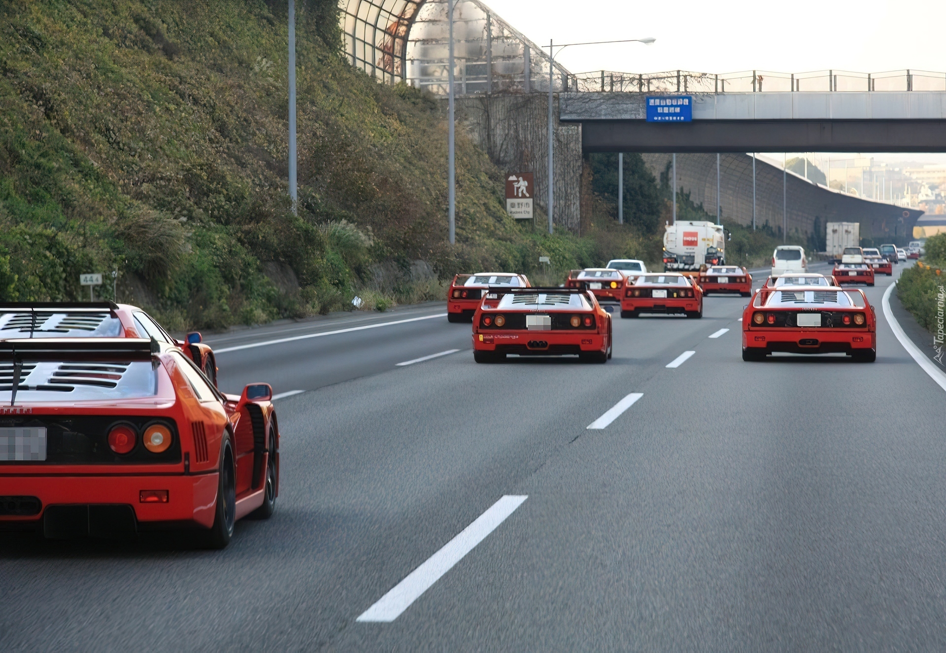 Zlot, Miłośników, Ferrari F 40