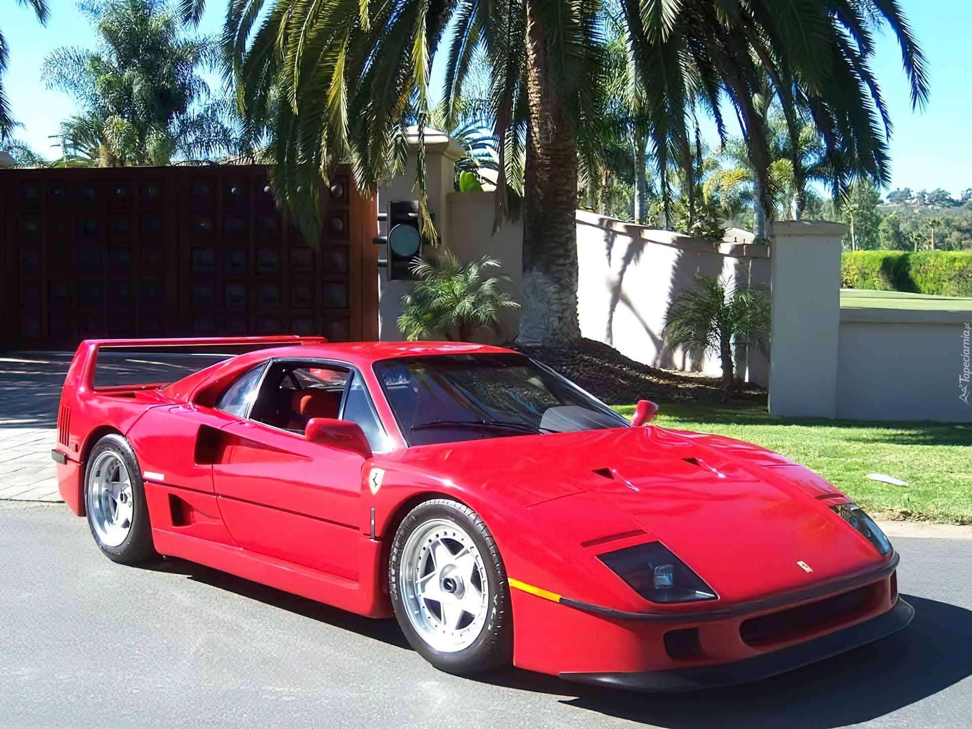 Ferrari F40, Palma