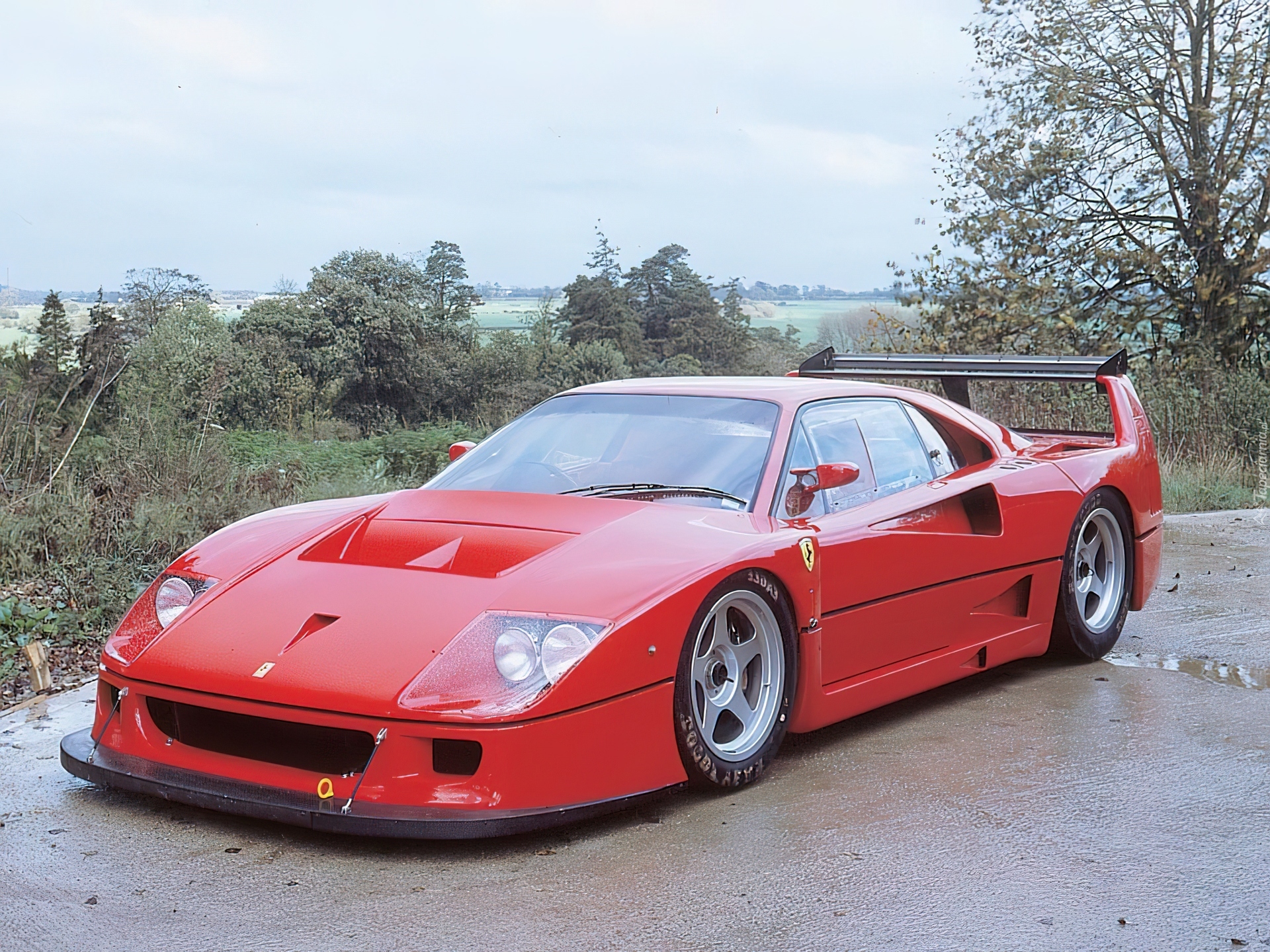 Ferrari F 40, Dokładka, Zderzaka, Deszcz