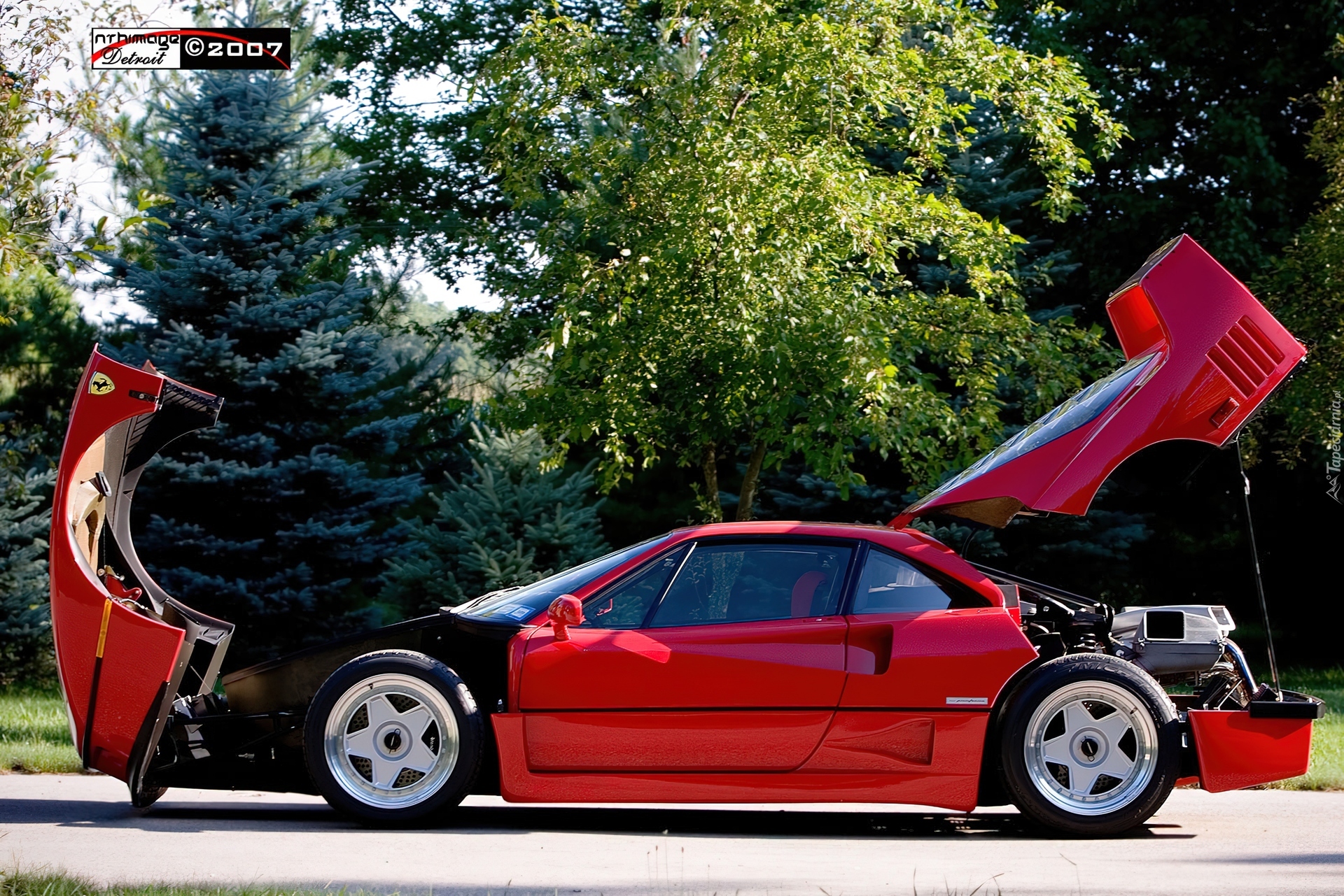 Ferrari F 40, Pokrywa, Silnika, Bagażnika