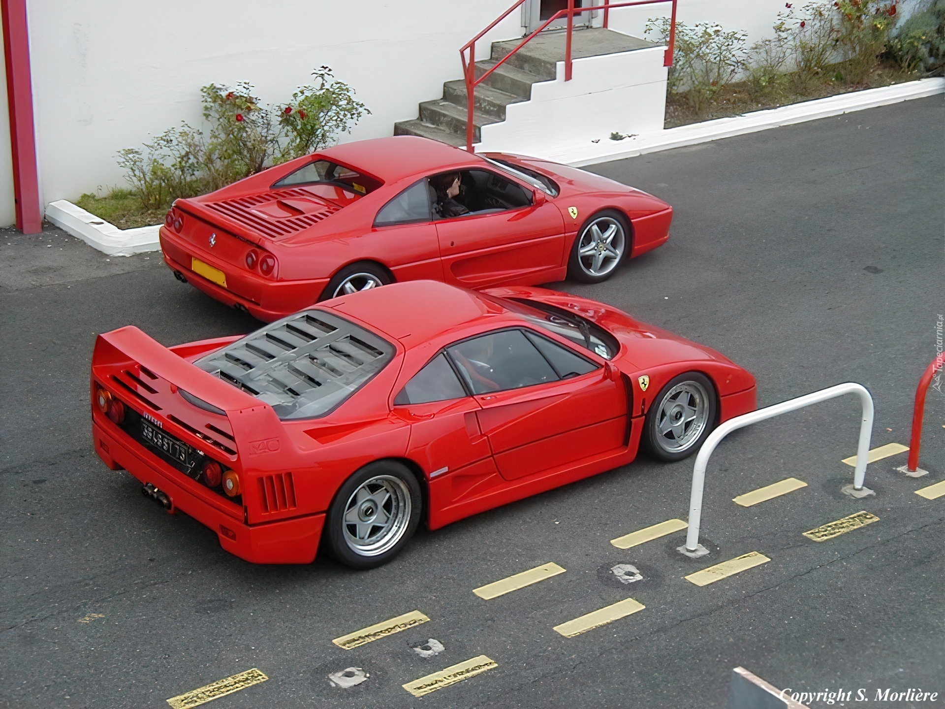 Ferrari F 40, vs, F355