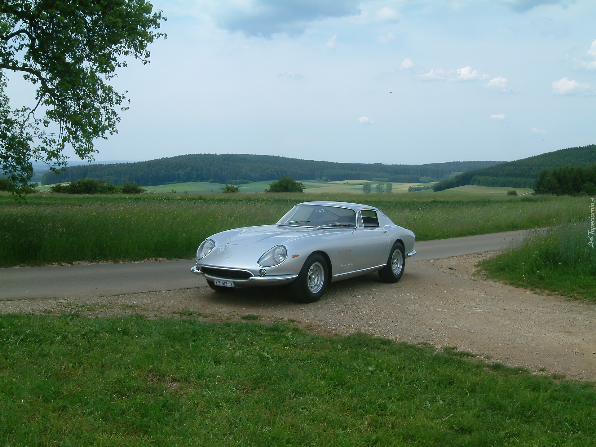 Ferrari 275, Boczne, Drogi