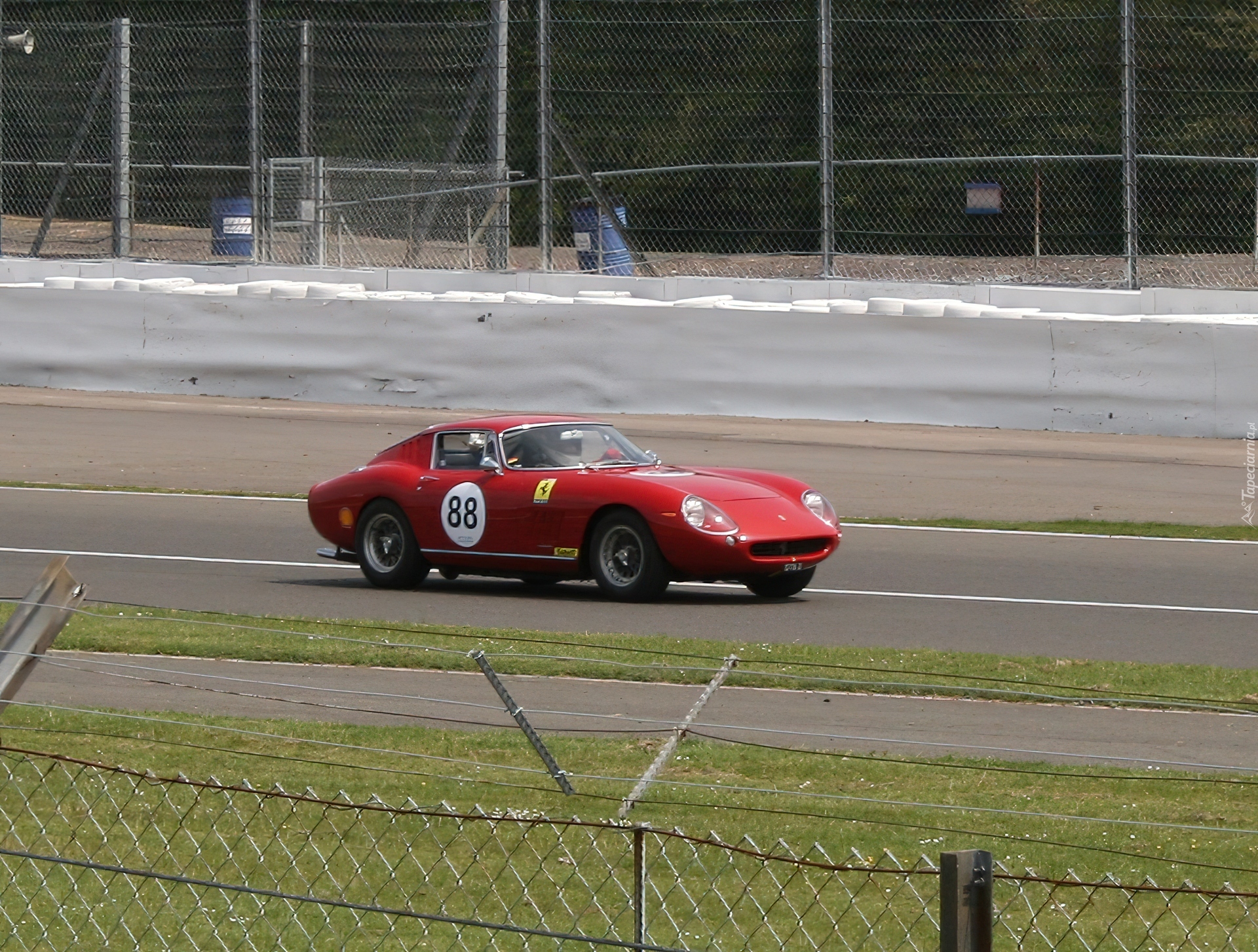 Ferrari 275, Tor, Wyścigowy