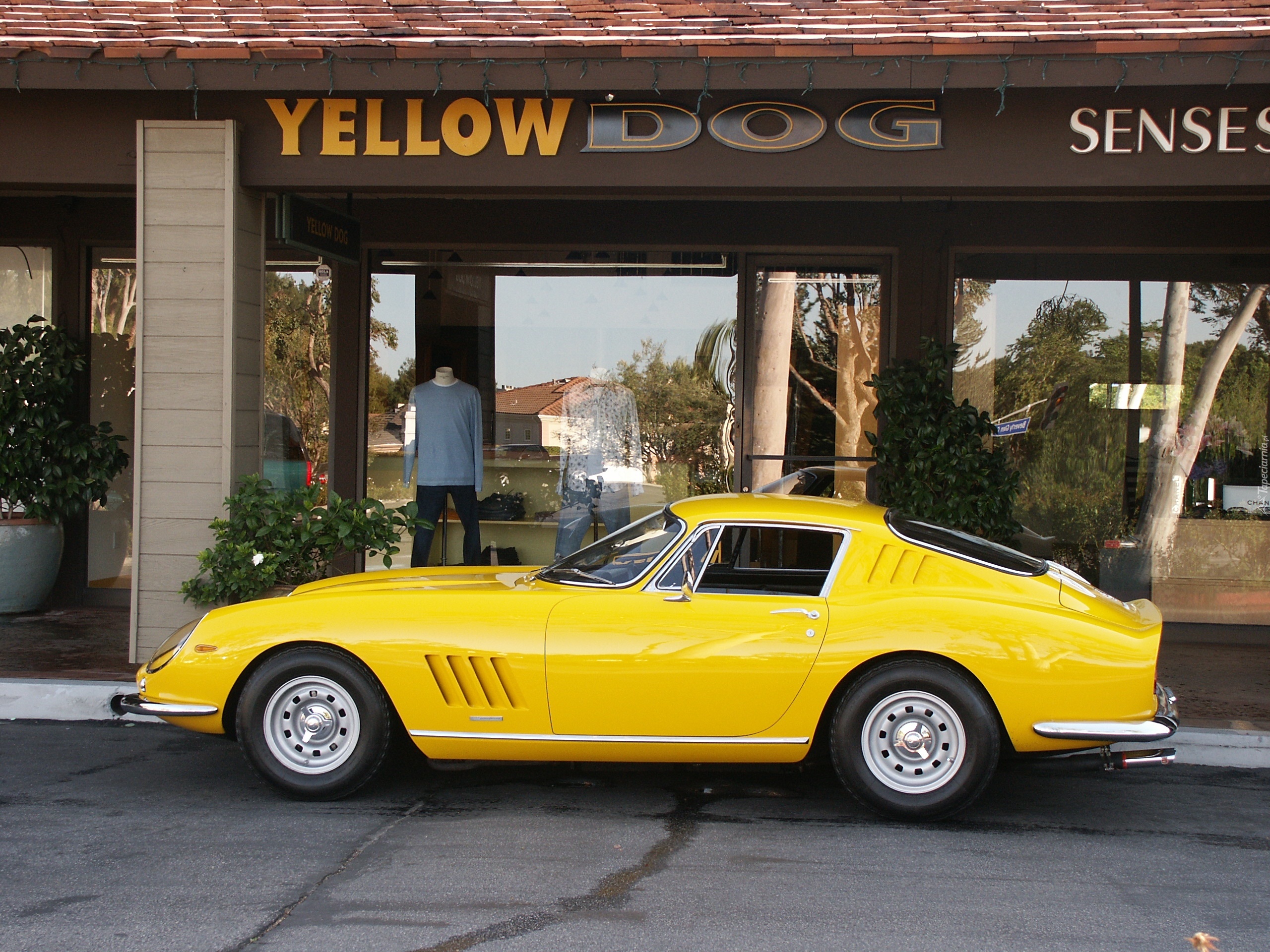 Ferrari 275, Strona, Kierowcy