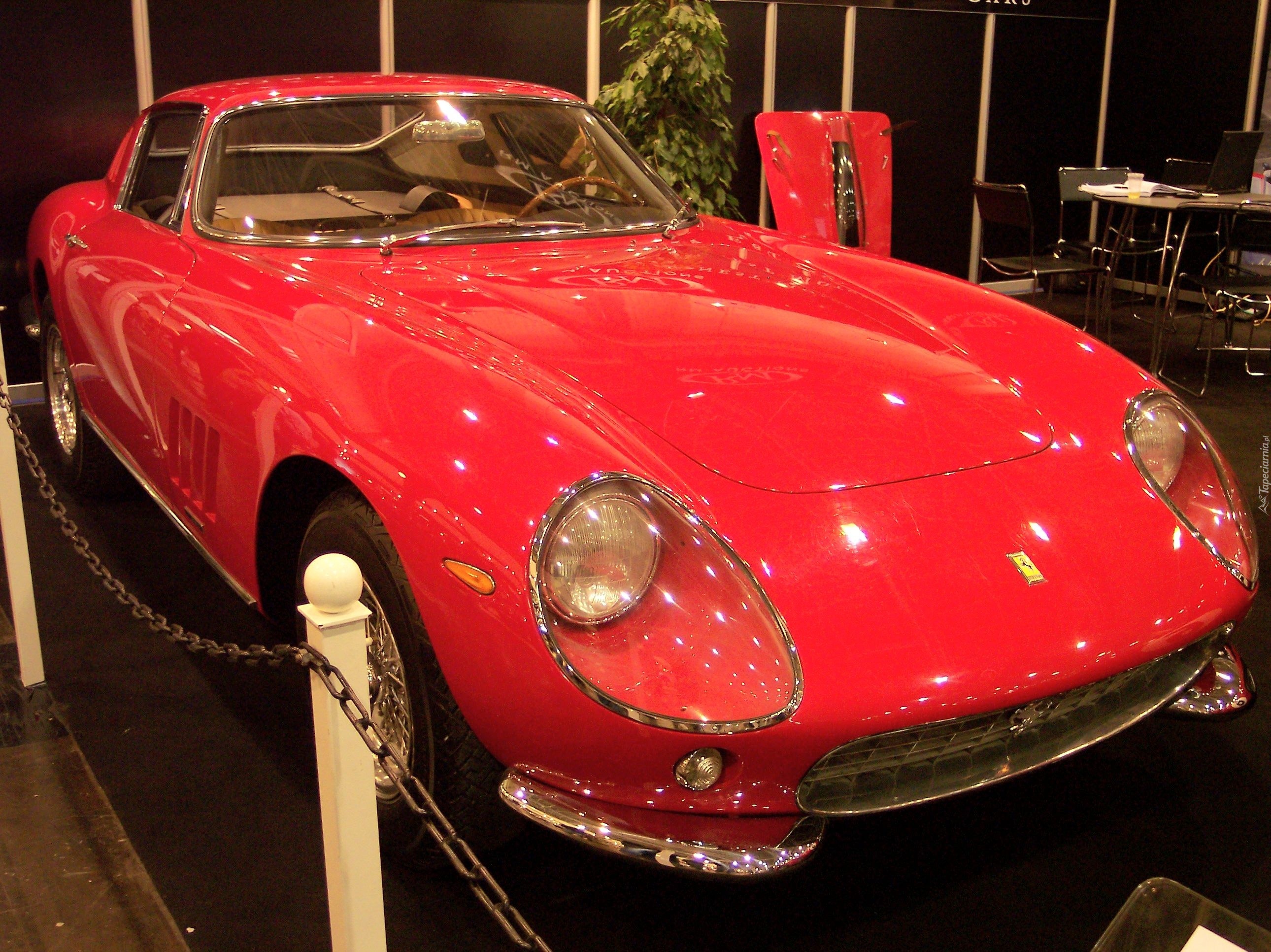 Czerwone, Ferrari 275, Łańcuch