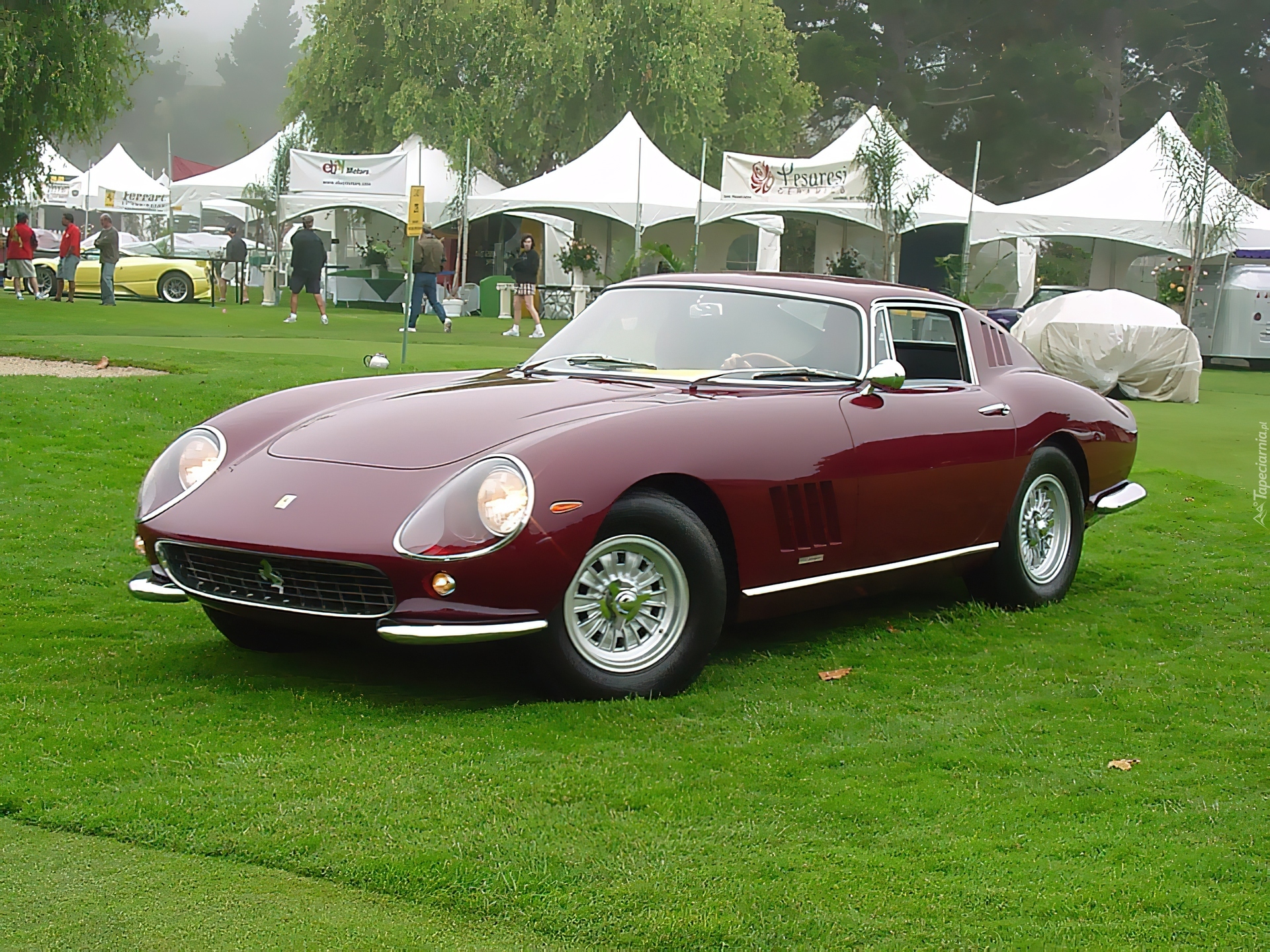 Bordowe, Ferrari 275, Zlot