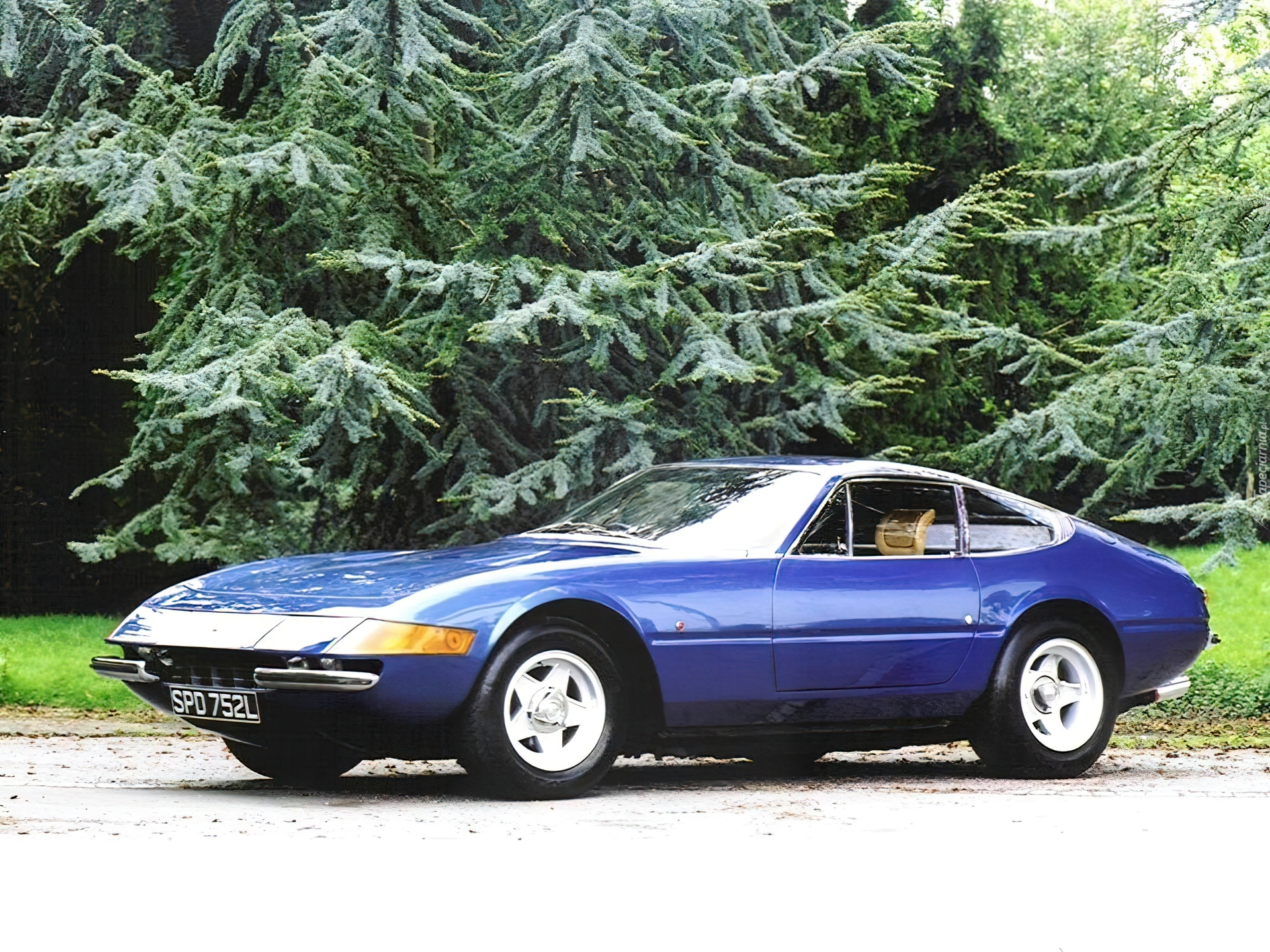 Niebieskie, Ferrari Daytona, Alufelgi