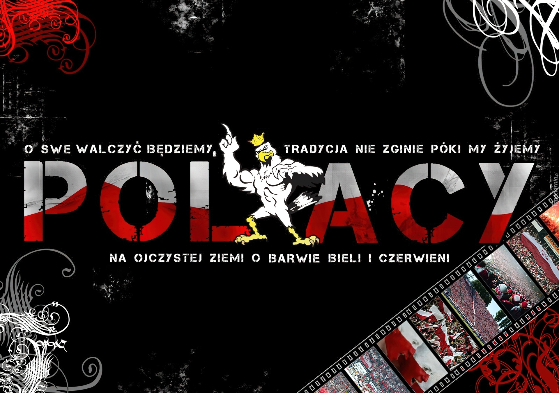Polacy, Patriot, Kibice
