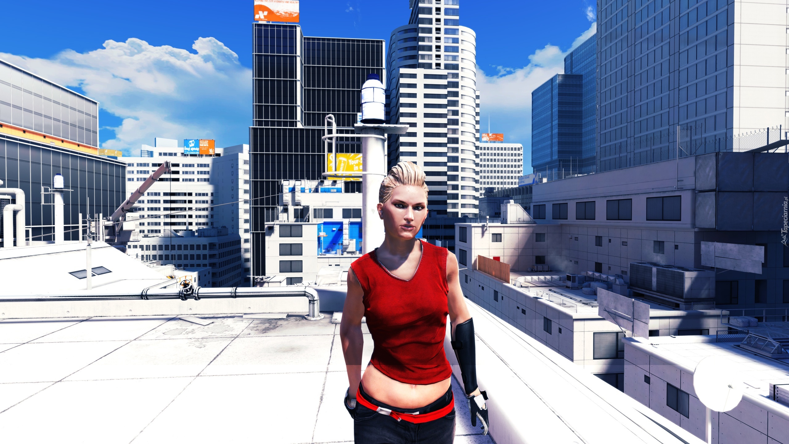 Mirrors edge стим фото 20