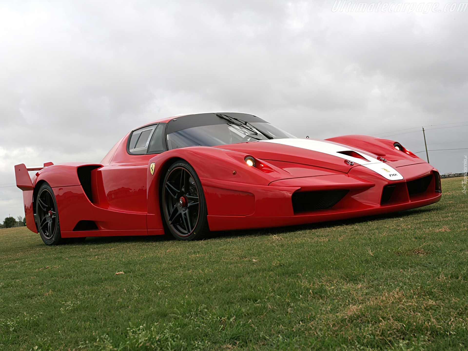 Ferrari FXX, Reflektory, Trawa