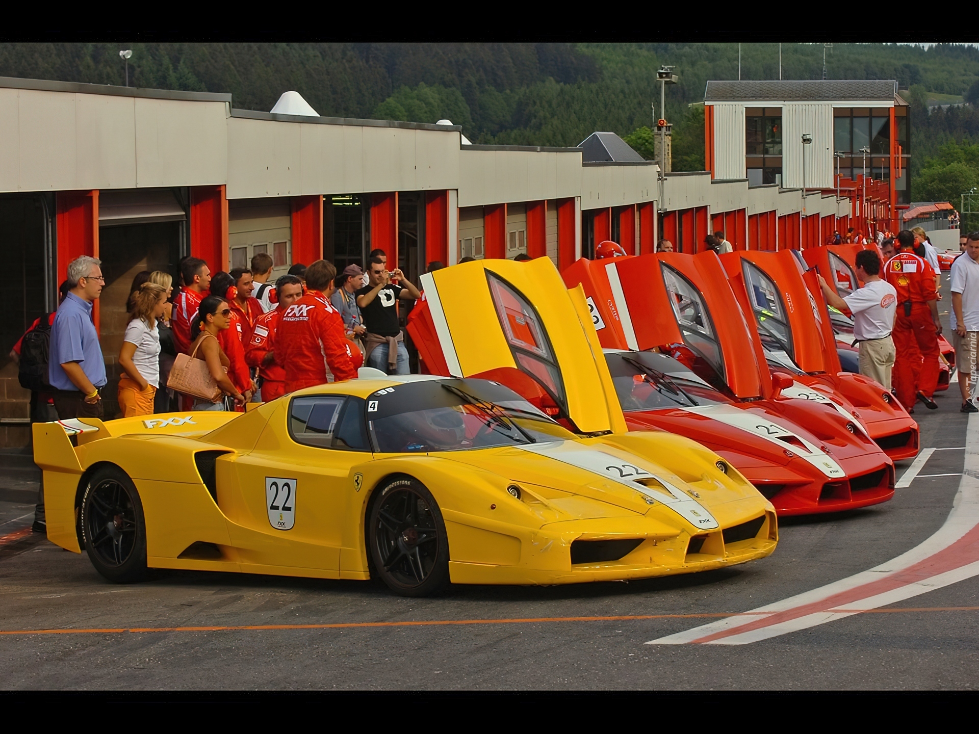 Zlot, Posiadaczy, Ferrari FXX