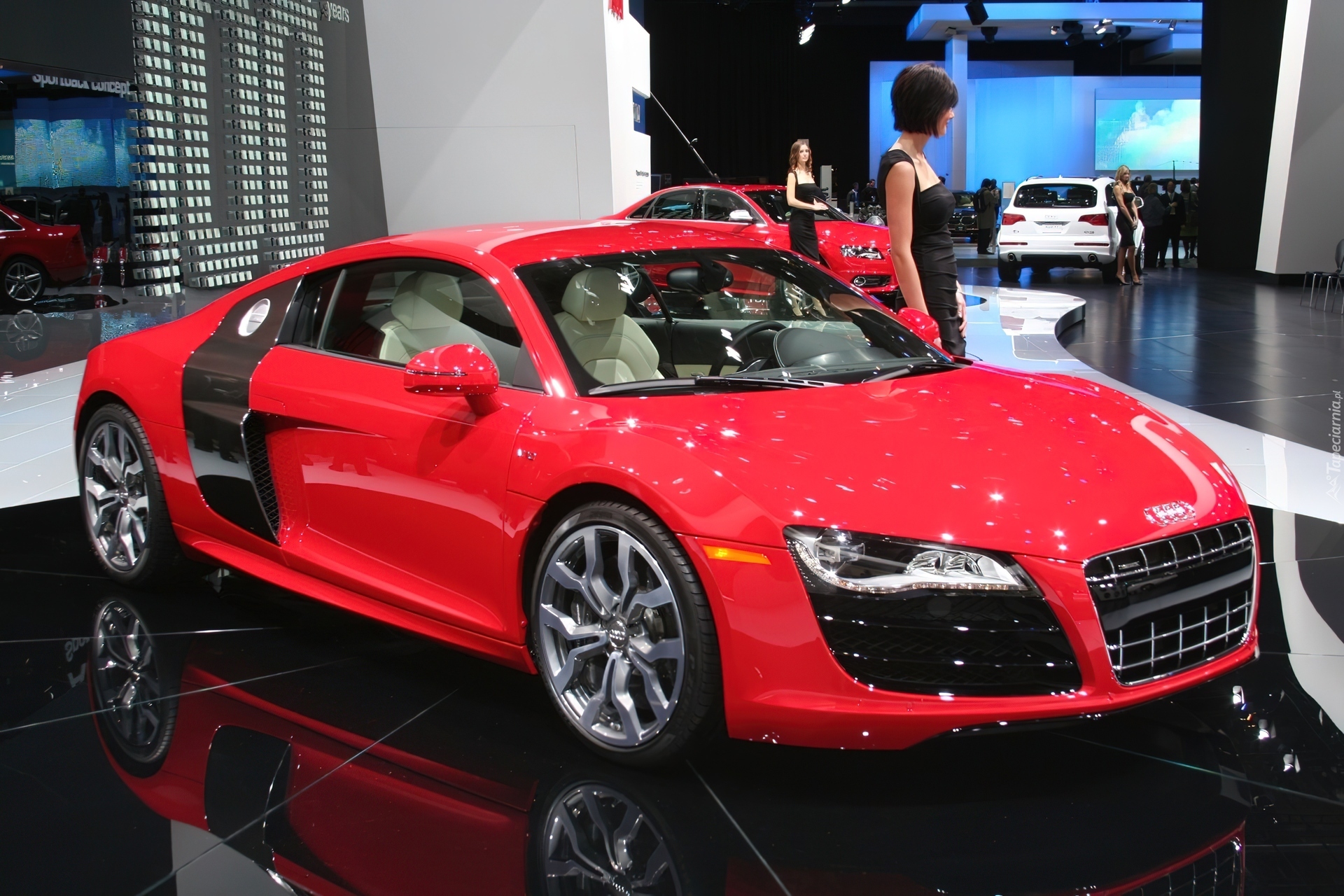 Dealer, Audi R8, Hostessa