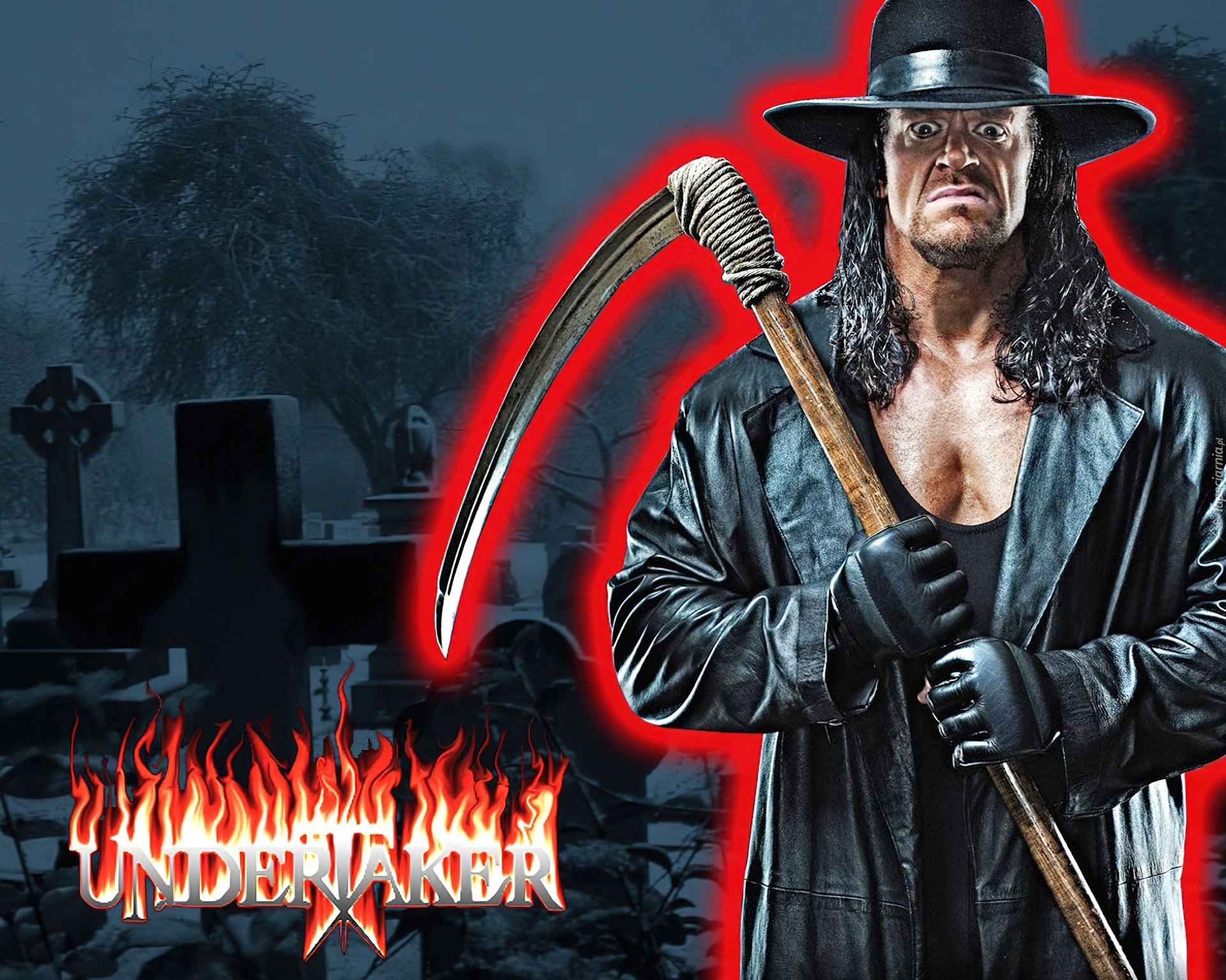 Undertaker, Kosiarz, Wrestling, WWE