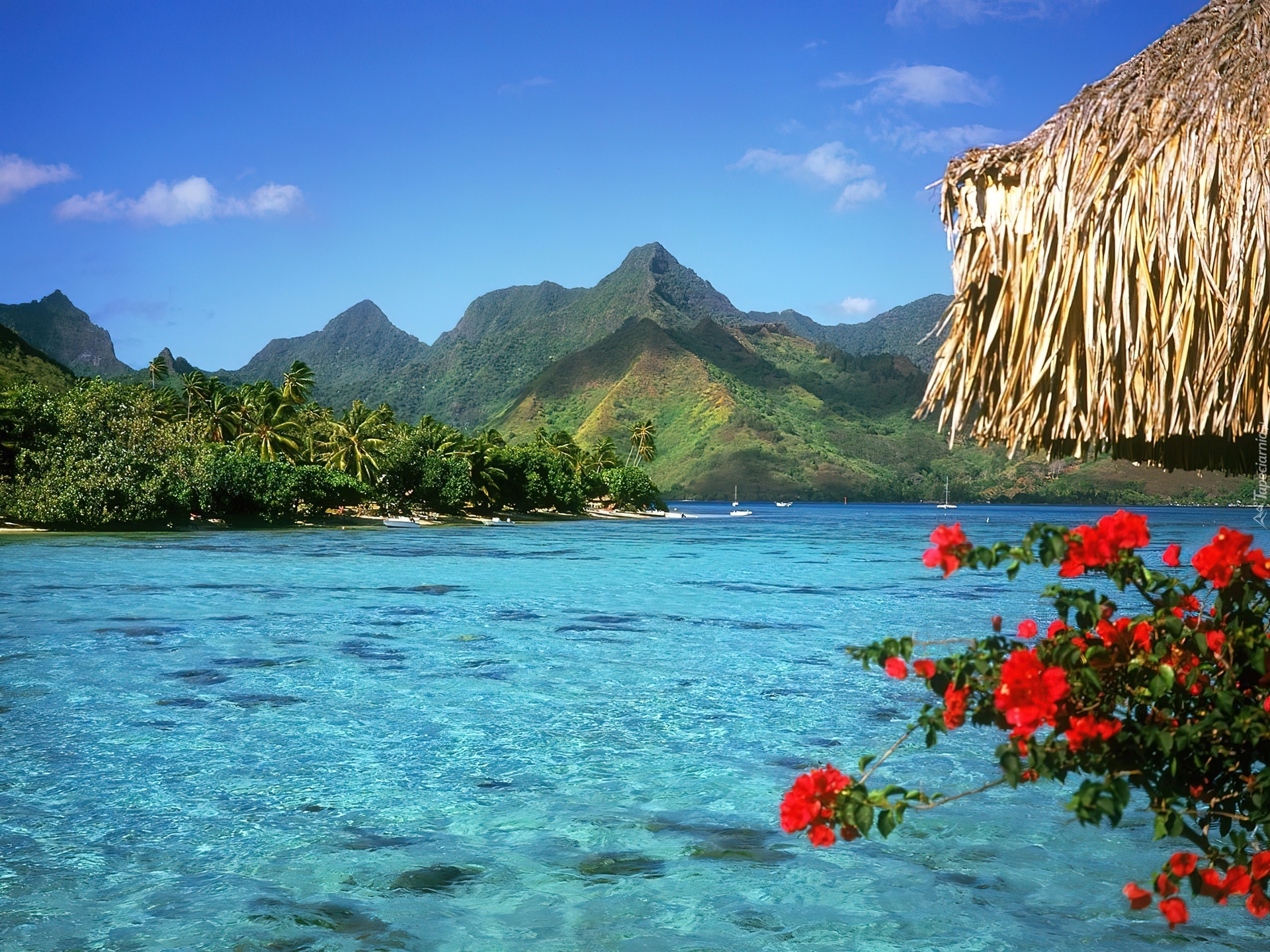 Tranquil, Lagoon, Bora, Bora